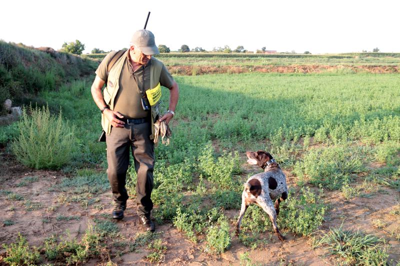 A hunter and his dog in Bell-lloc d'Urgell, western Catalonia