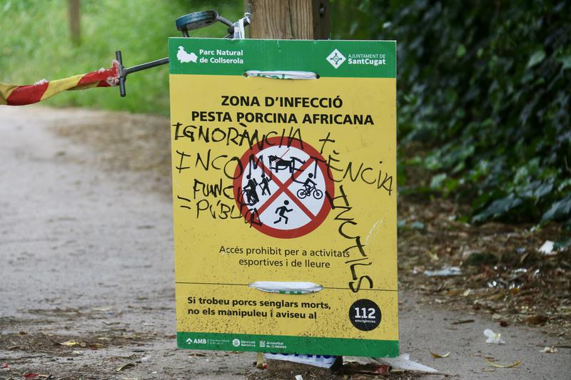 Vandalised information sign on ASF restrictions in Collserola Natural Park