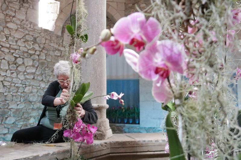Girona flourishes as <strong>flower festival preparations </strong>get underway&nbsp;