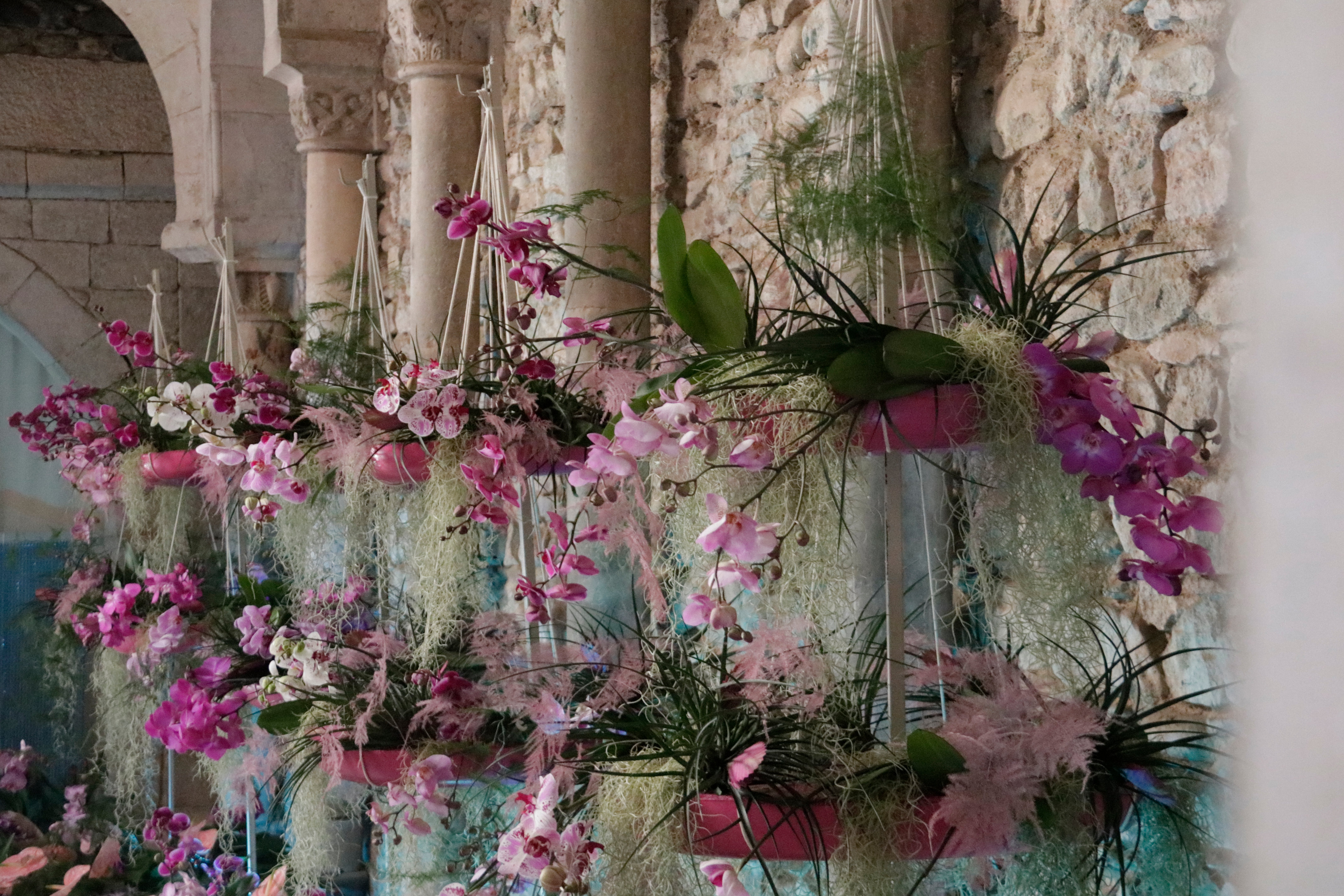 Temps de Flors als banys àrabs de Girona