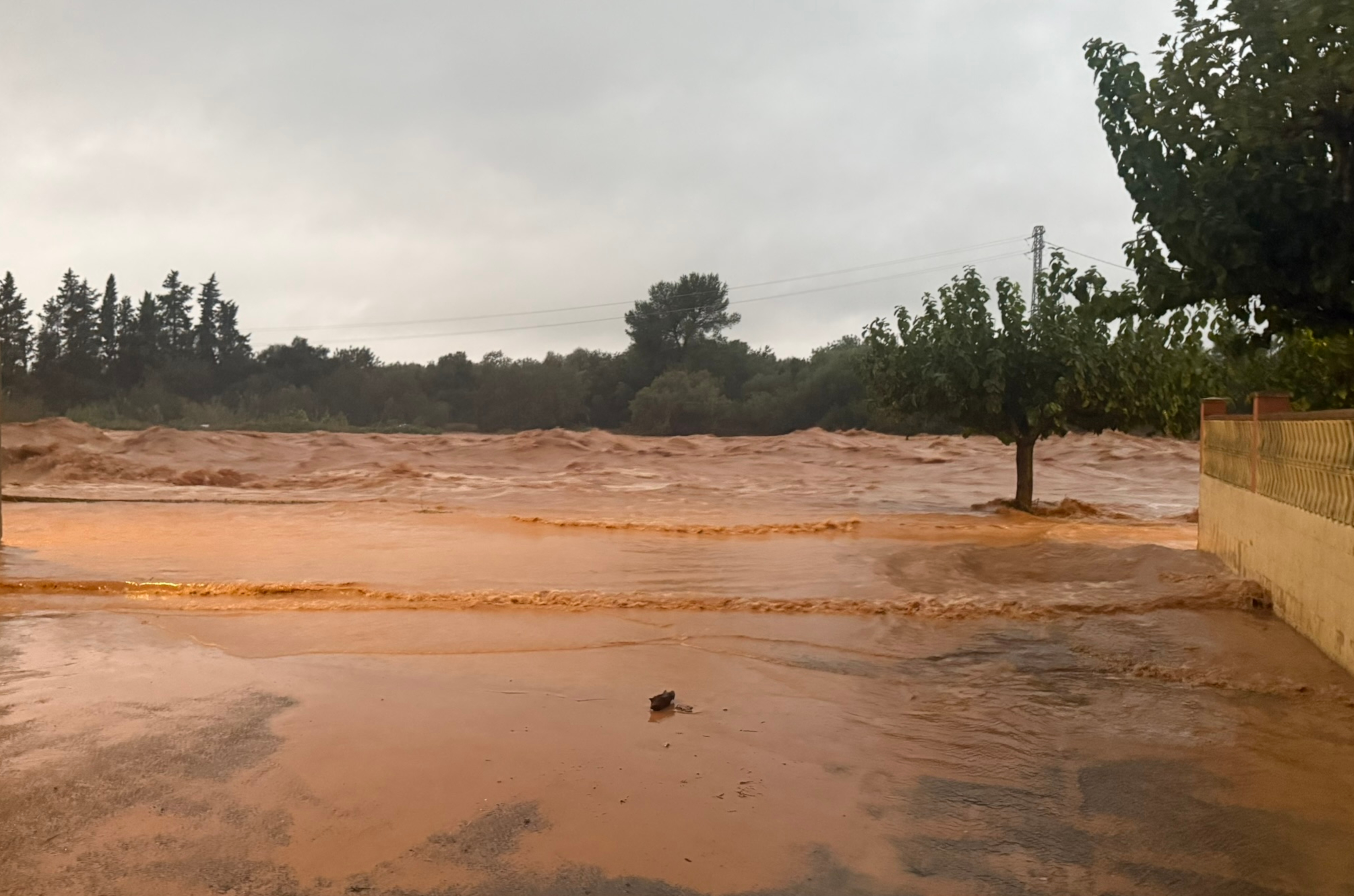 Barranc de la Galera de Masdenverge