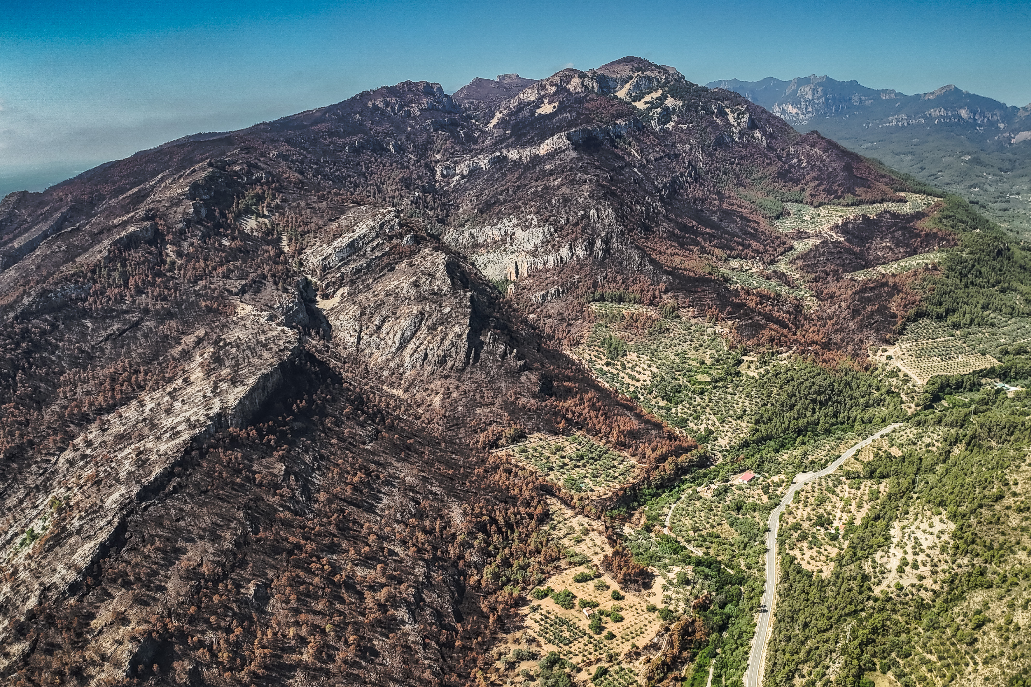 View of all the peaks southeast of Paüls burned by the wildfire