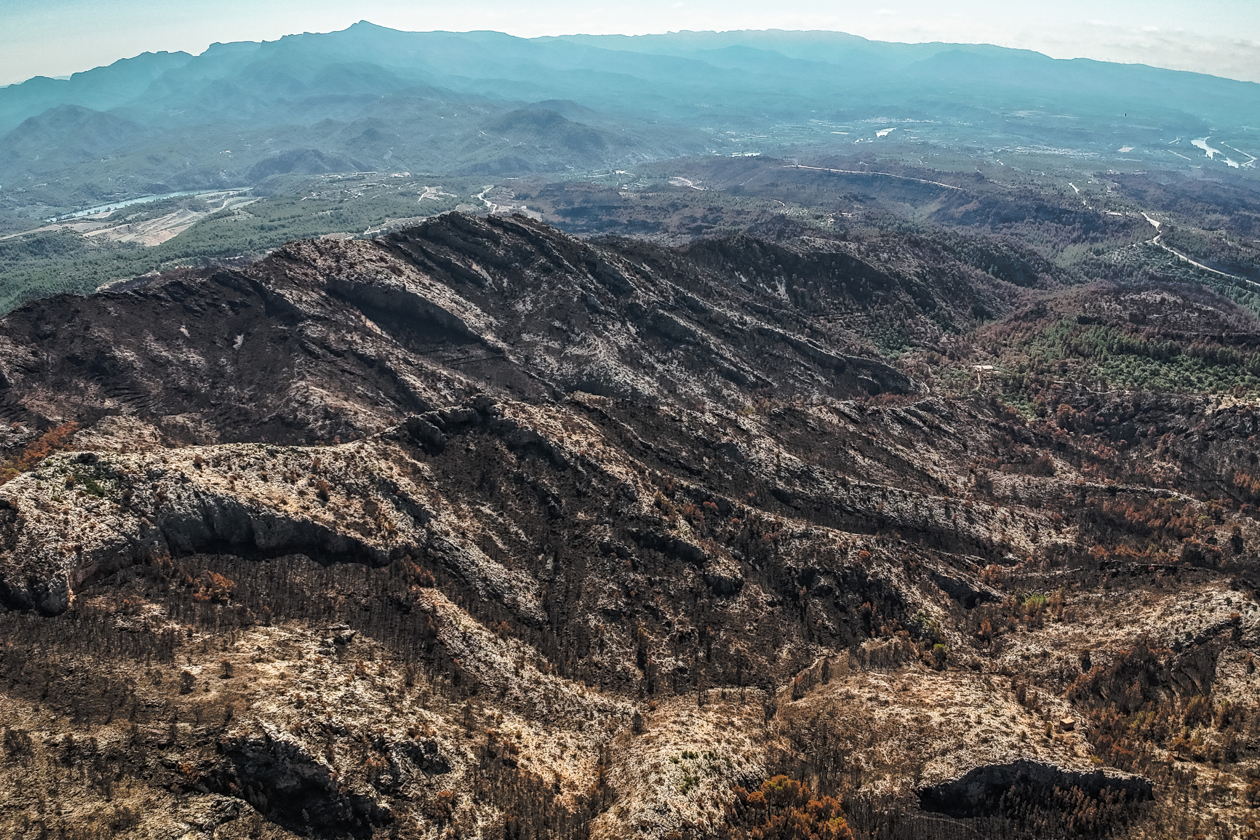 Forest in Vallcarca and Faixes burnt by Paüls wildfire