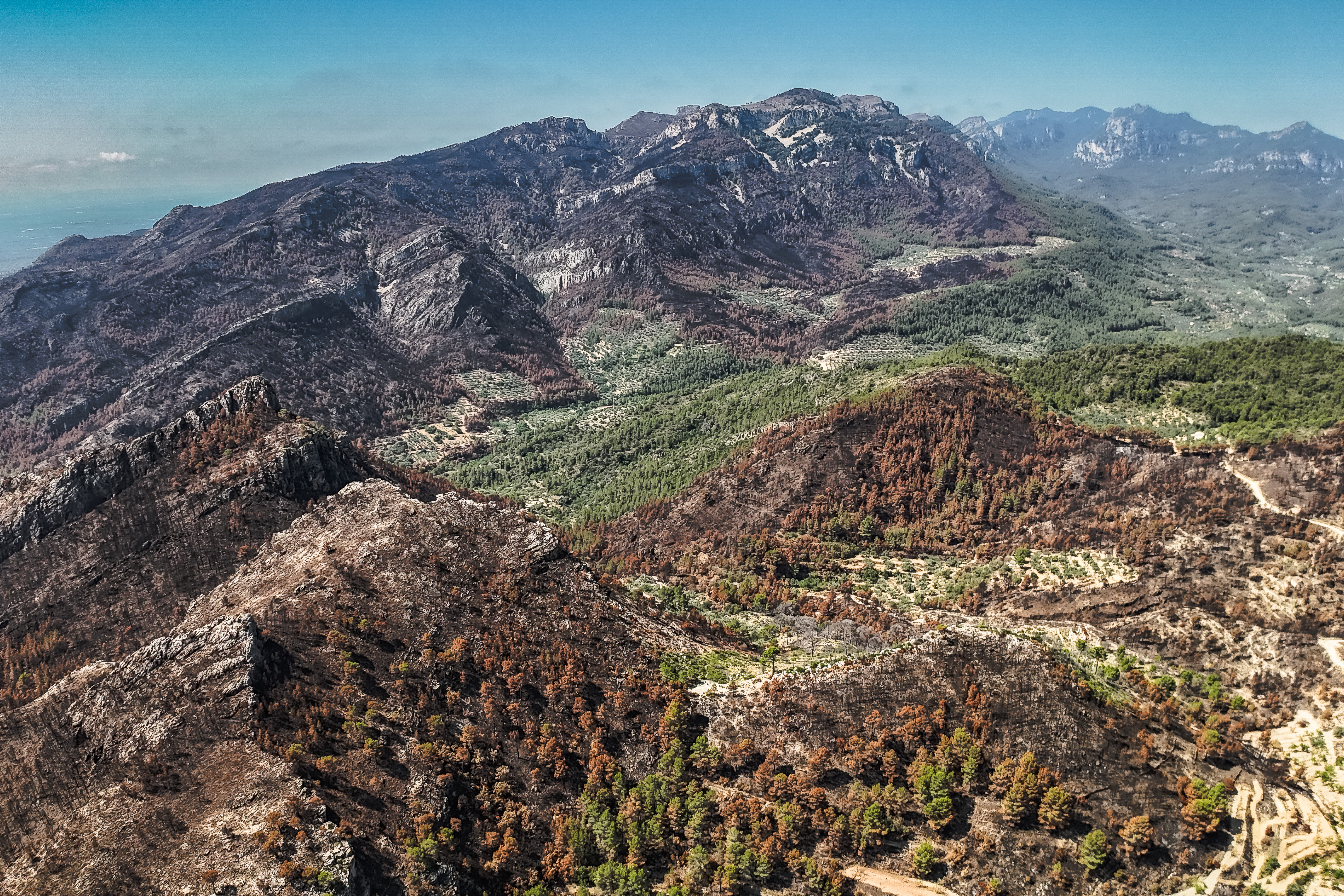 Aerial image of the entire Vall de l’Infern and part of the area of Paüls burned in the wildfire
