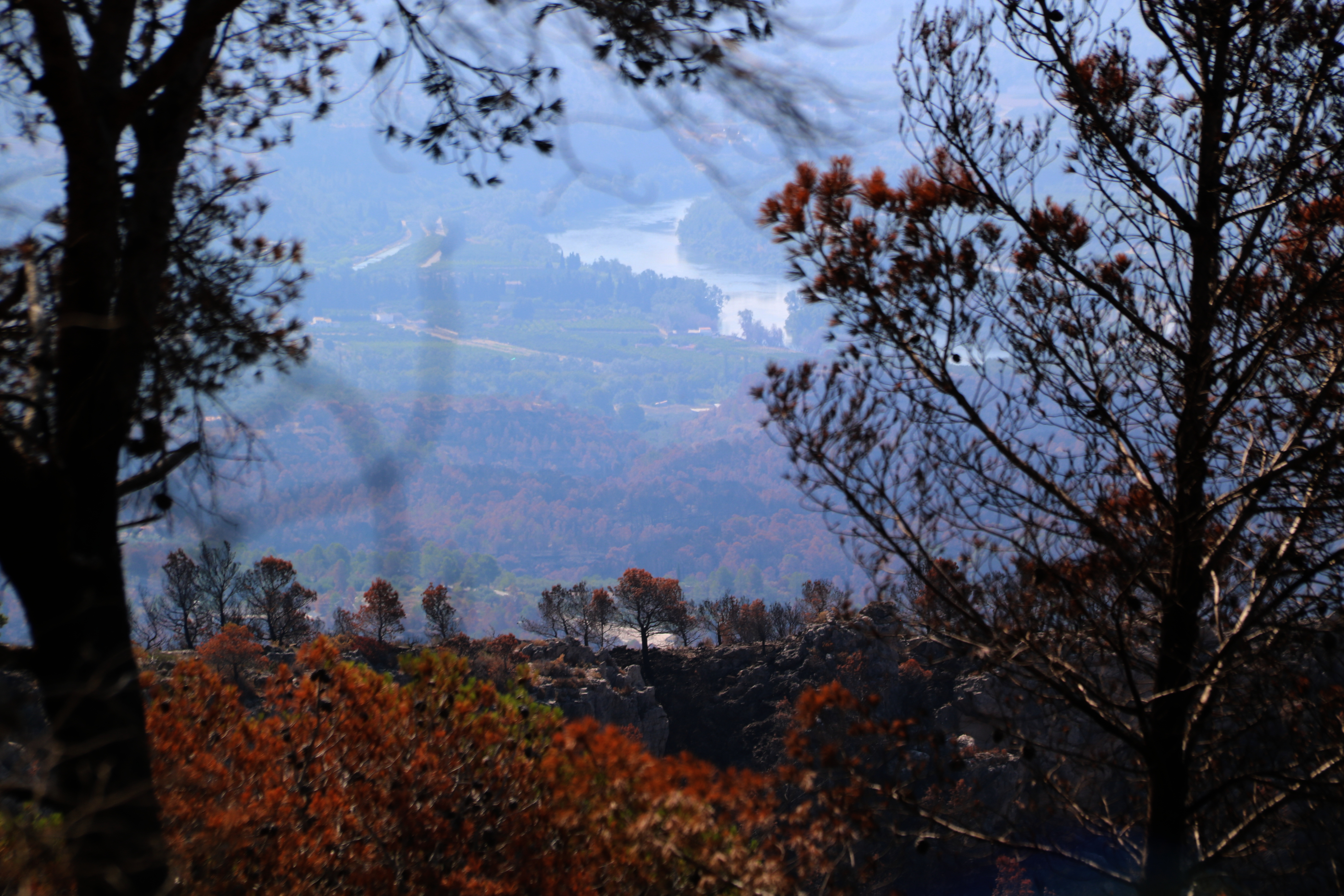 Burnt shrubs and trees in Paüls with the valley and Ebre River beyond