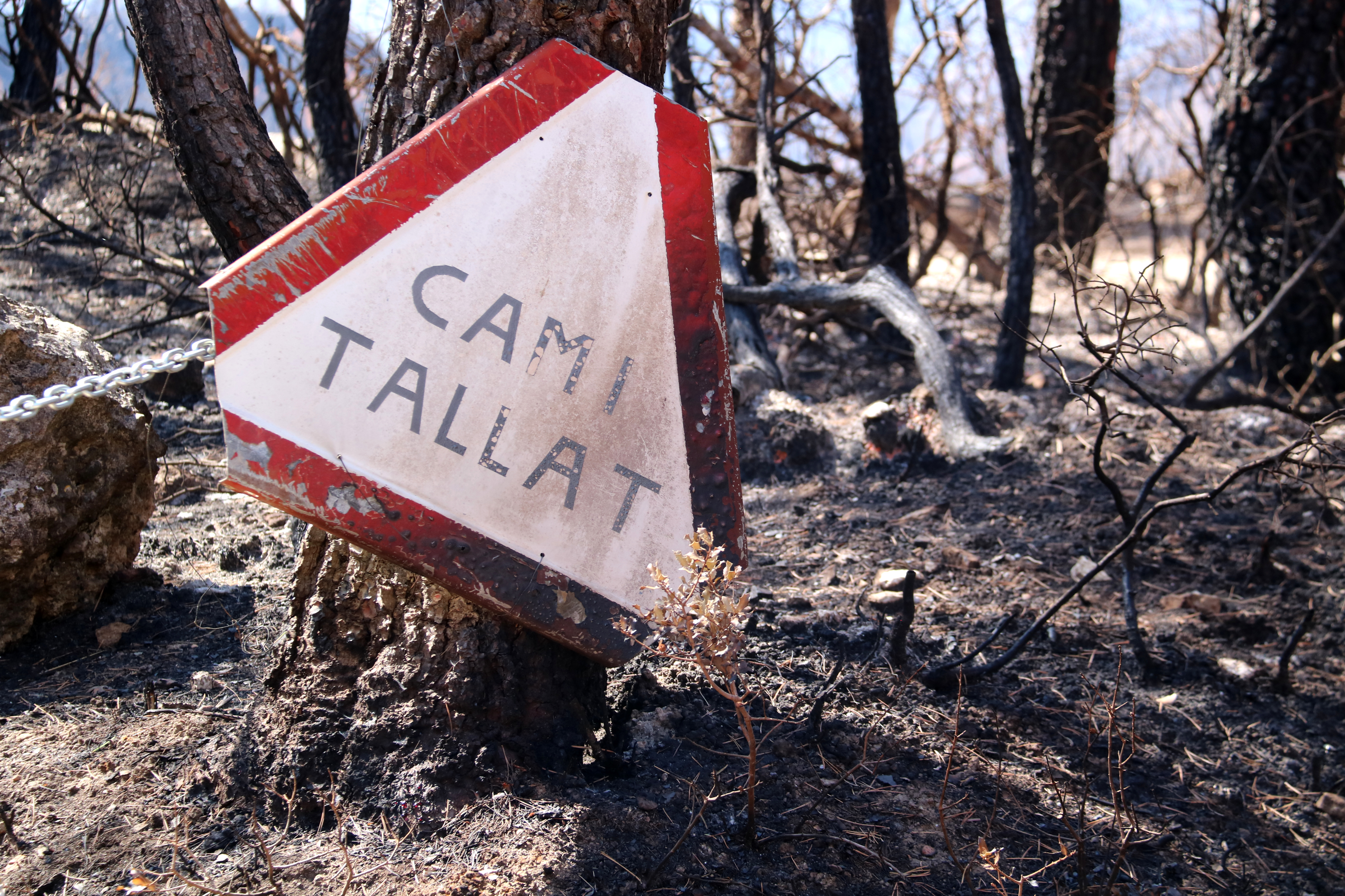 'Road Closed' sign among burned trees in Paüls