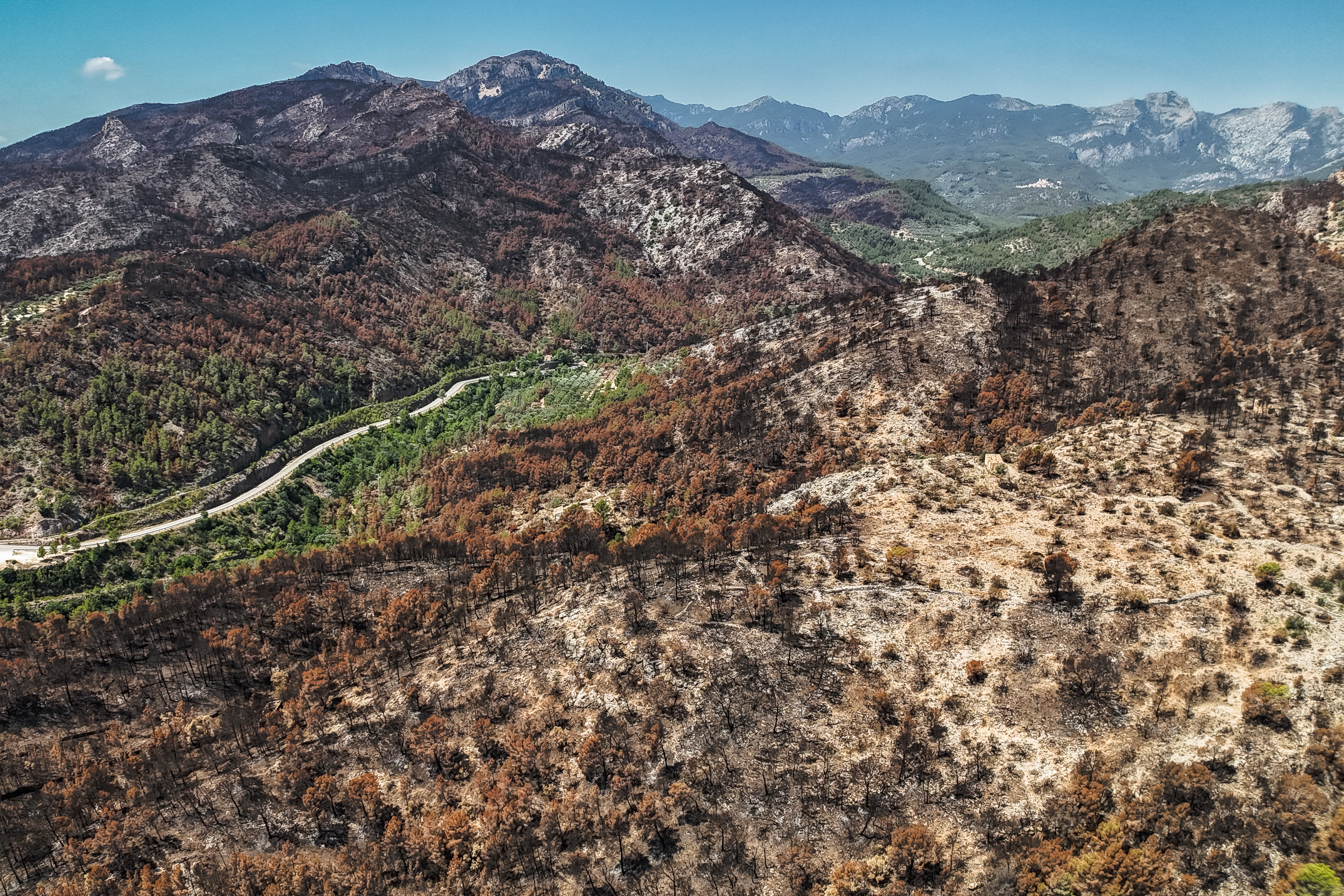 The extent of the Paüls wildfire in the area closest to the town