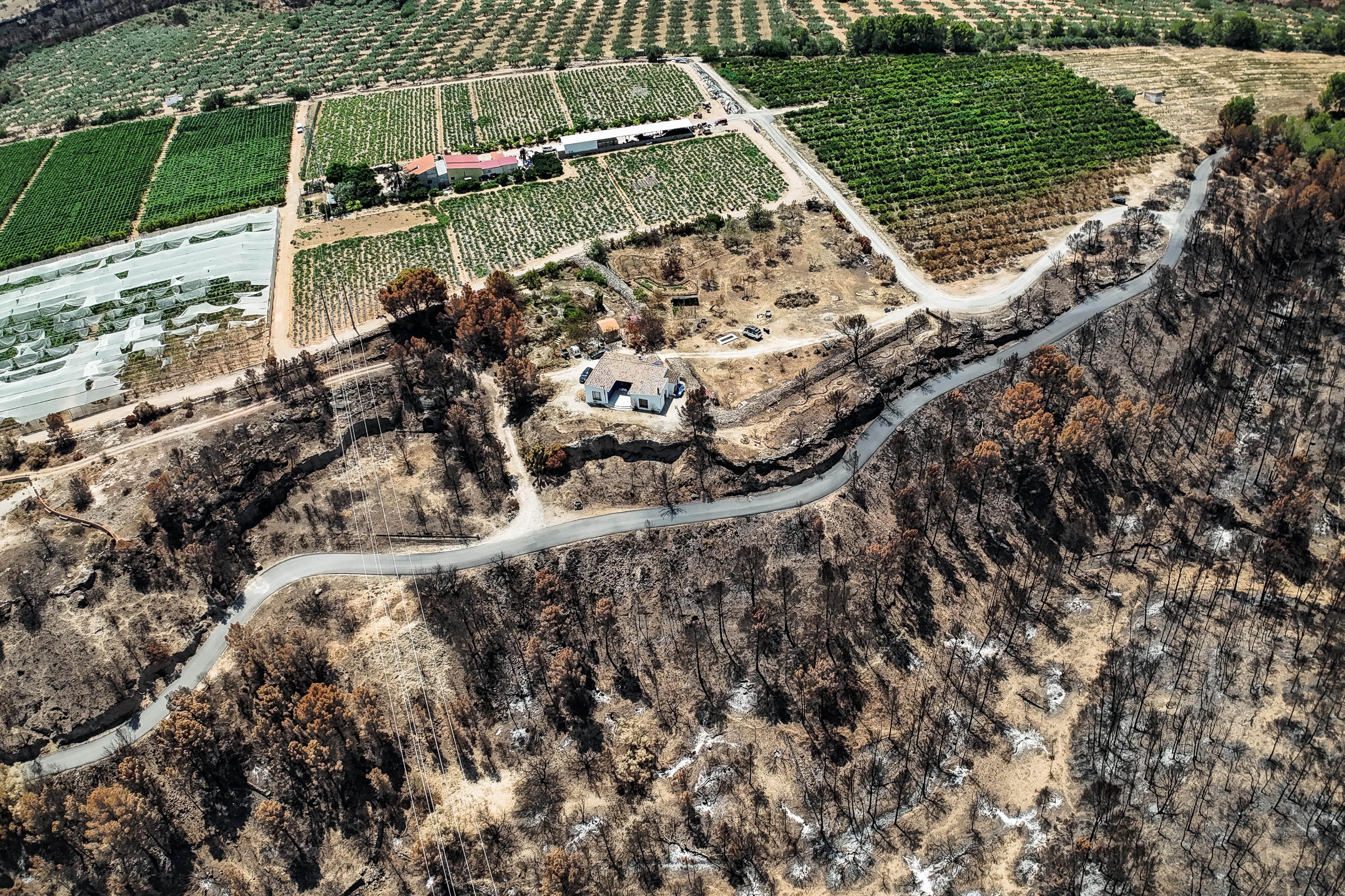 Burnt forest reaches a house in Xerta