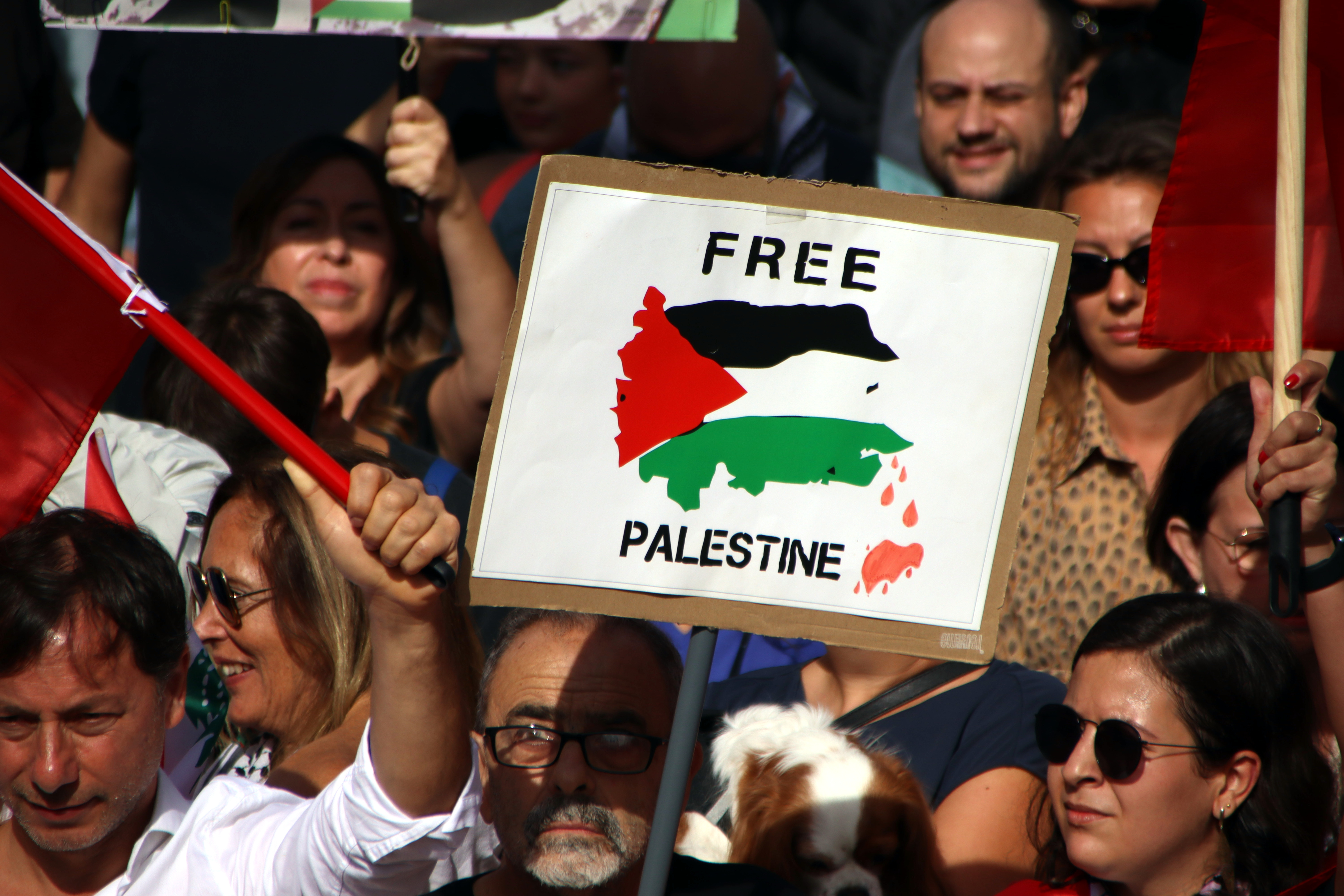 A moment of the pro-Palestine protest that took place in Barcelona on Sunday October 6, 2024