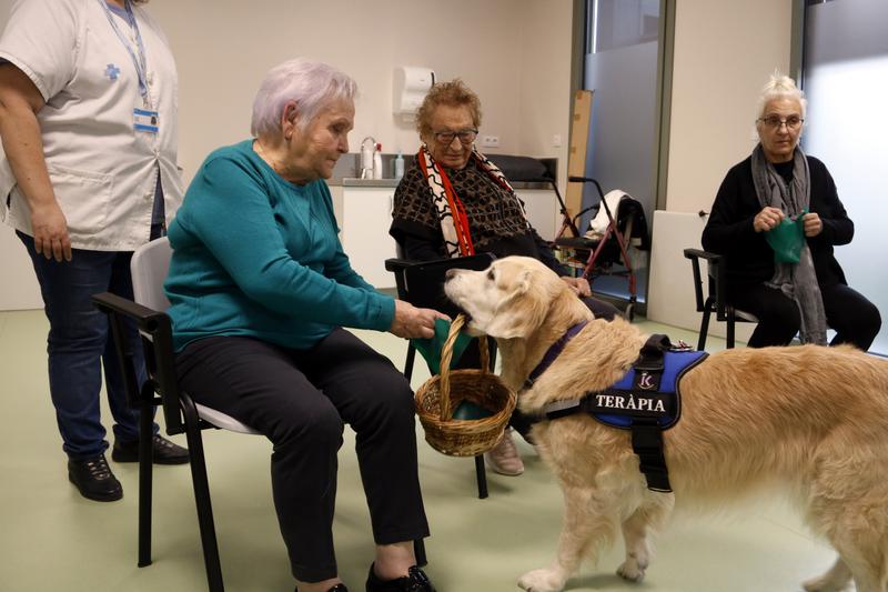 Pioneering project to tackle unwanted loneliness among seniors through dog-assisted therapy at CAP Bordeta-Magraners hospital in Lleida