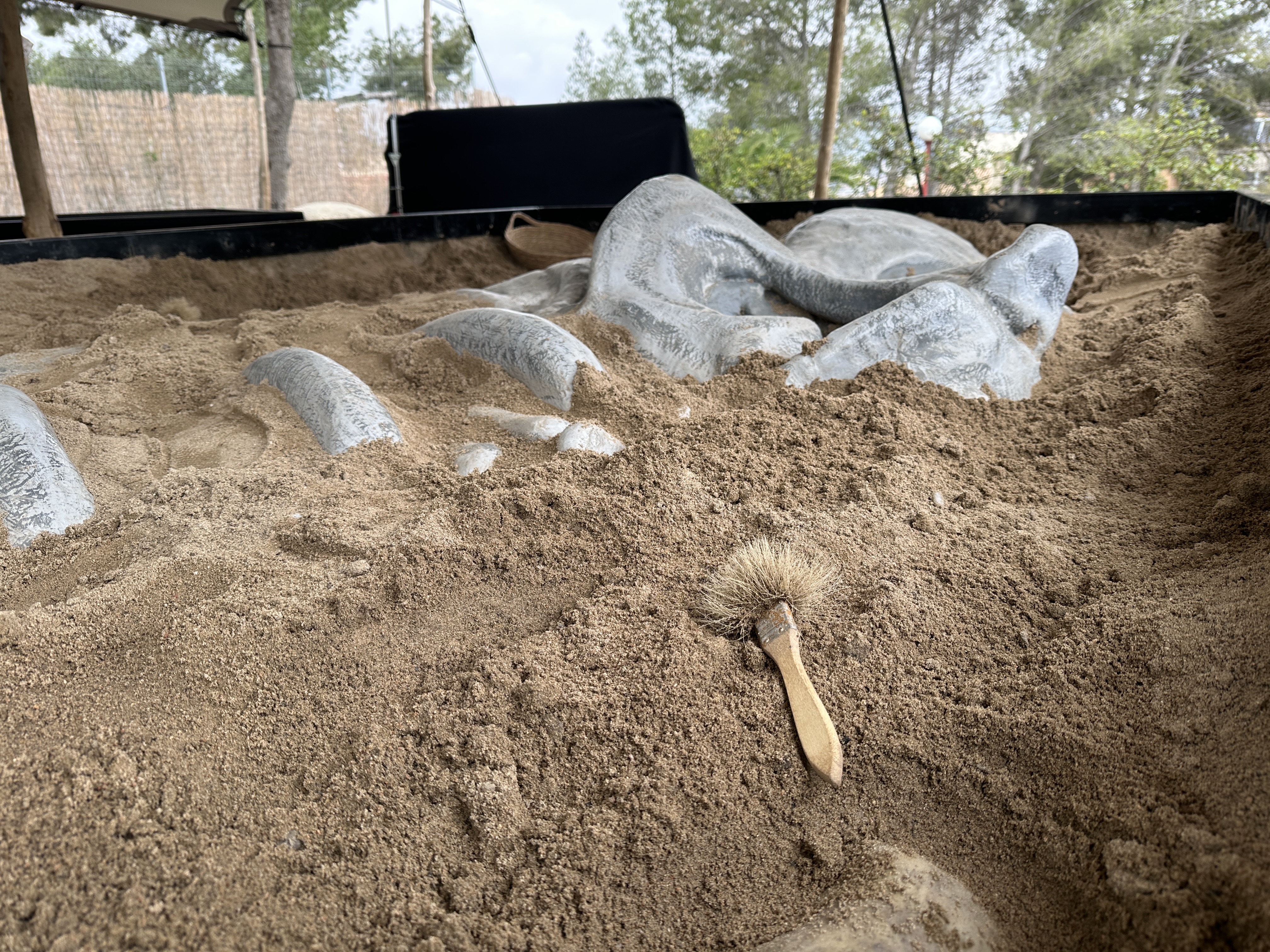 Excavation area of ExpoDinos