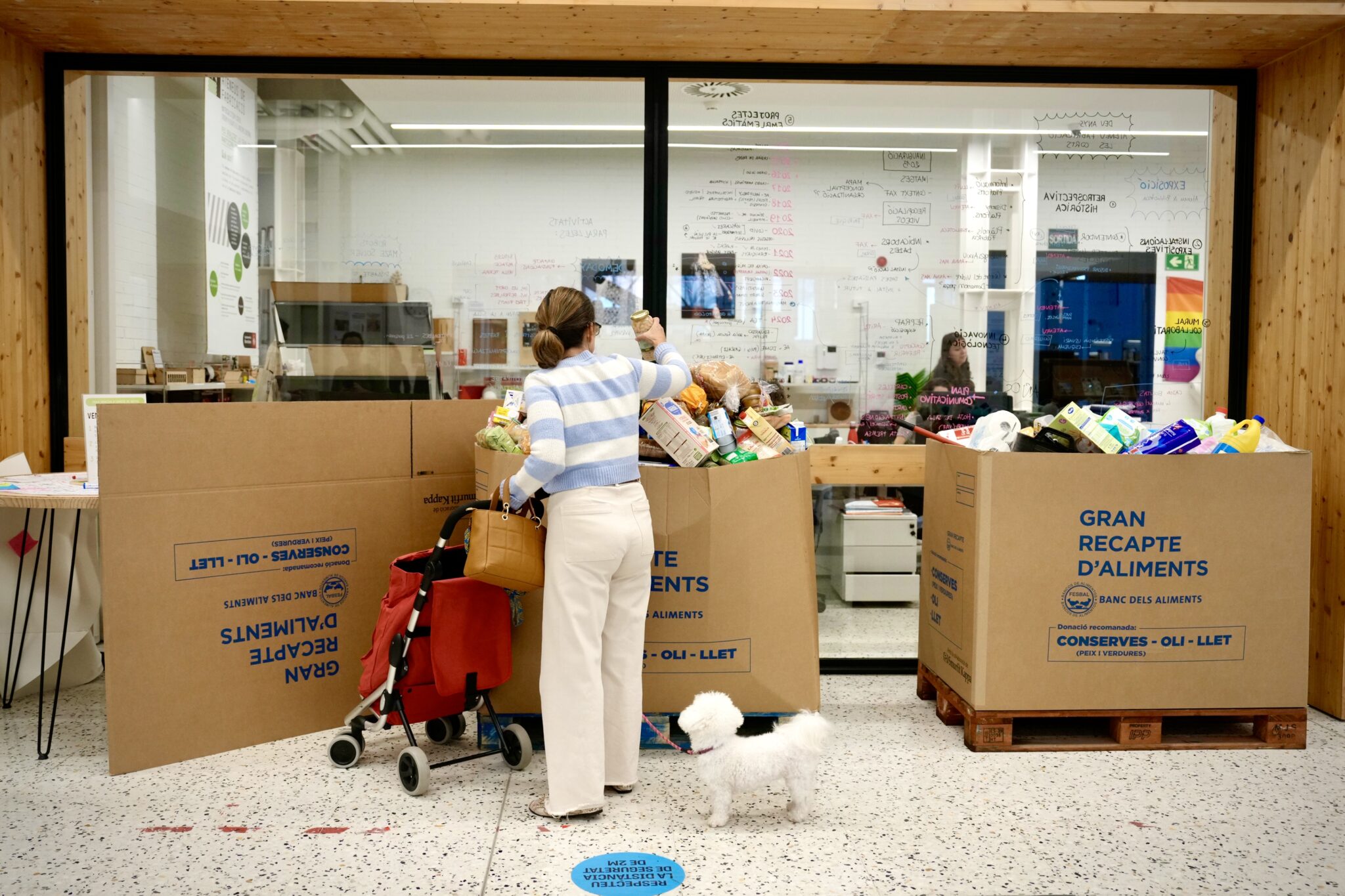 A woman donates basic products in a library to those affected by the storm in Valencia