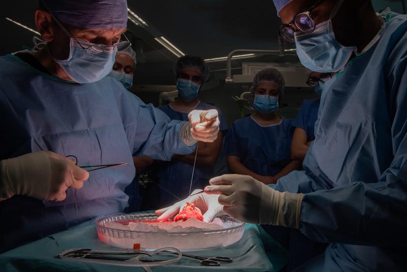 A liver transplant at the Hospital Clínic in Barcelona 