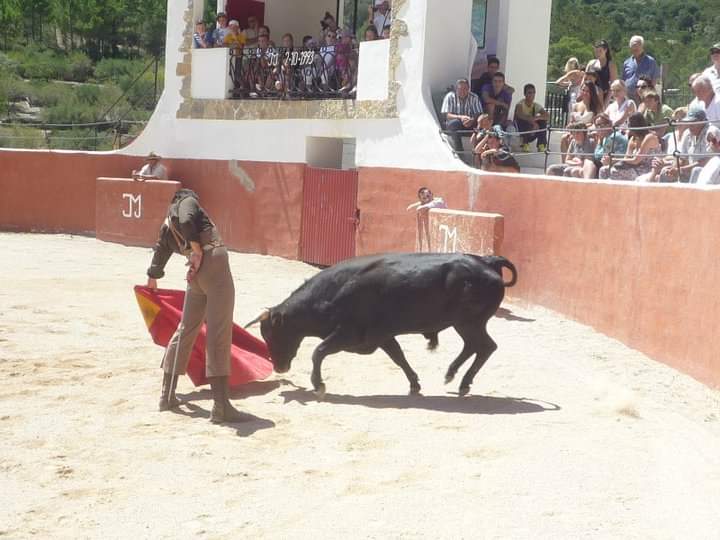 A moment during a bullfight in Alfara in 2019