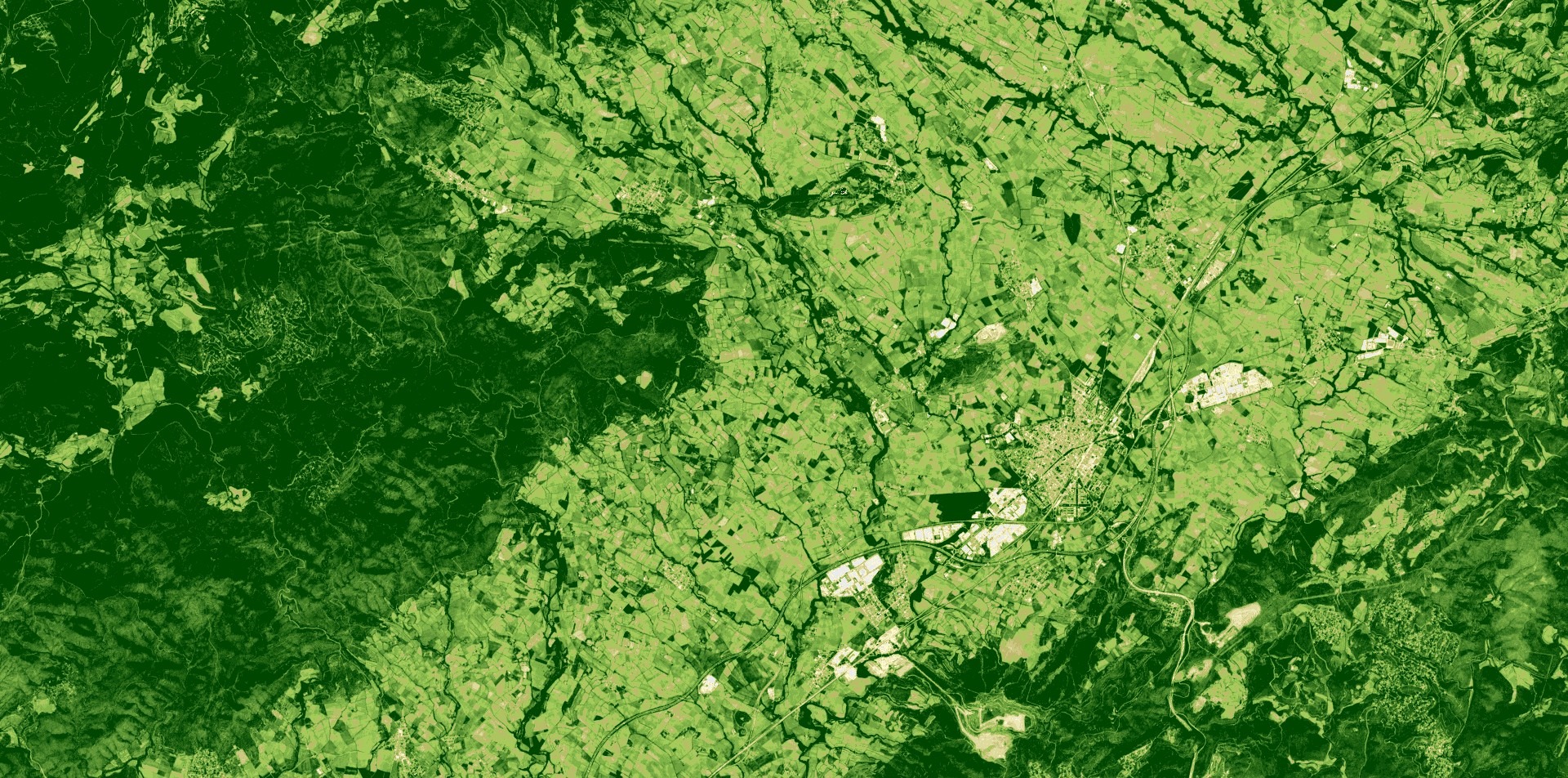L'Alt Penedès, l'11 de maig del 2024, en una imatge de satèl·lit NDVI, que mostra a més color verd, més estat saludable de la vegetació