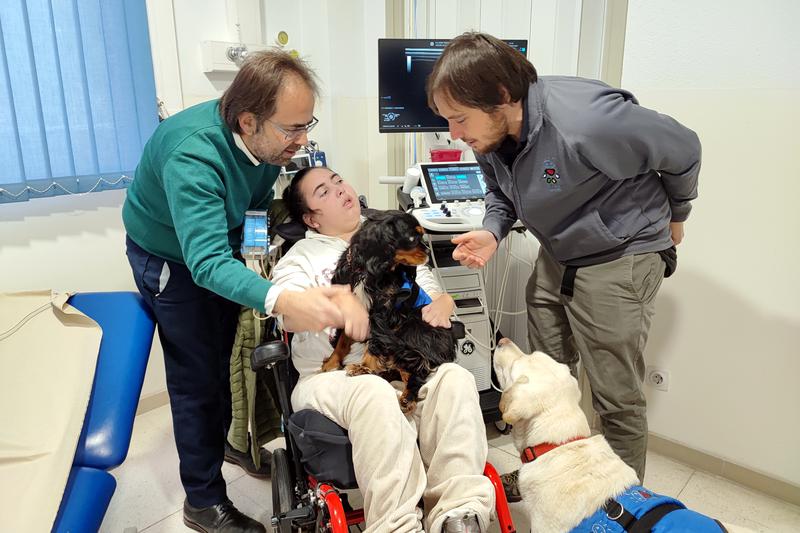 Dog therapy session at Josep Trueta Hospital for children affected by cerebral palsy