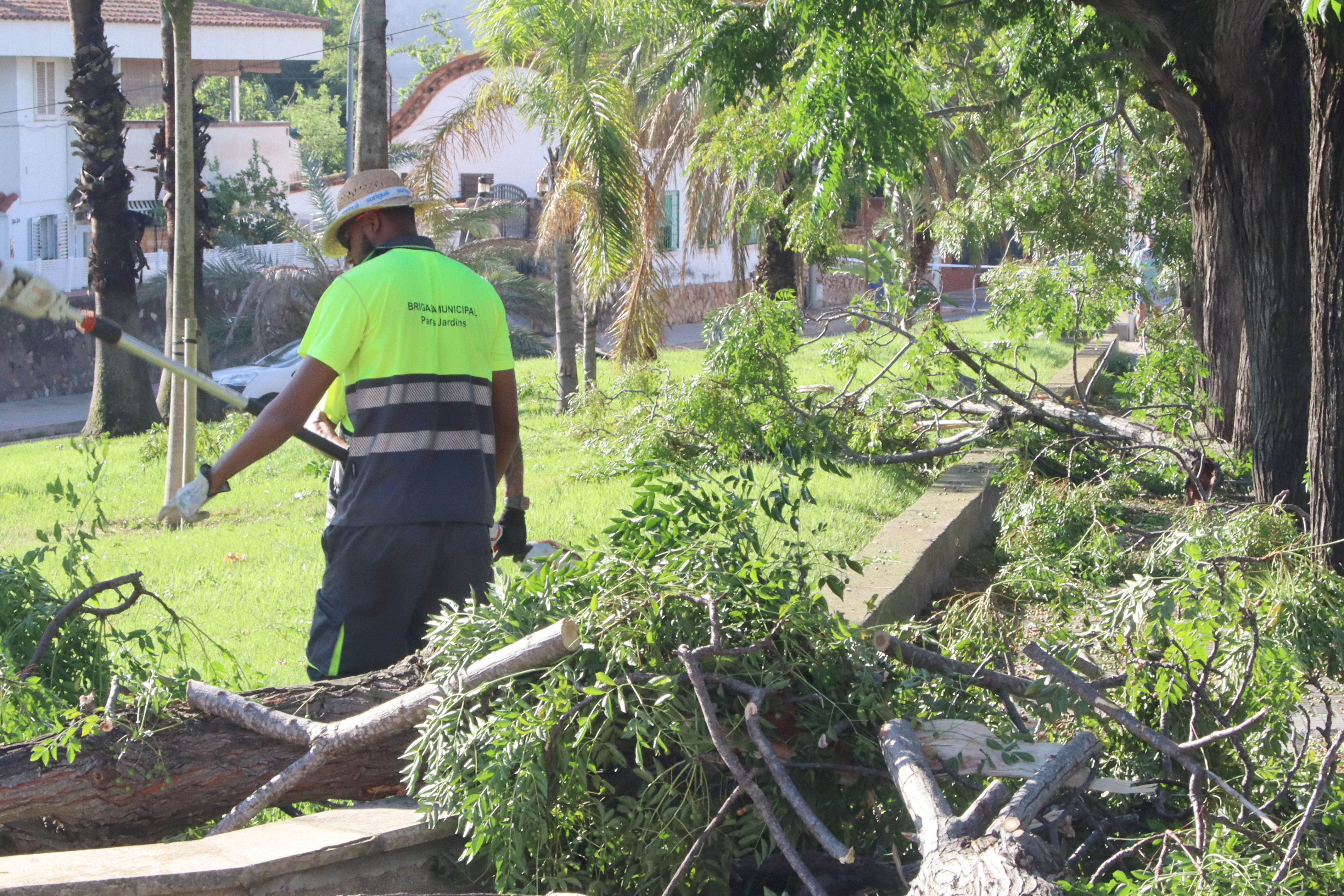Municipal crews clear branches in Vall de l'Arrabassada