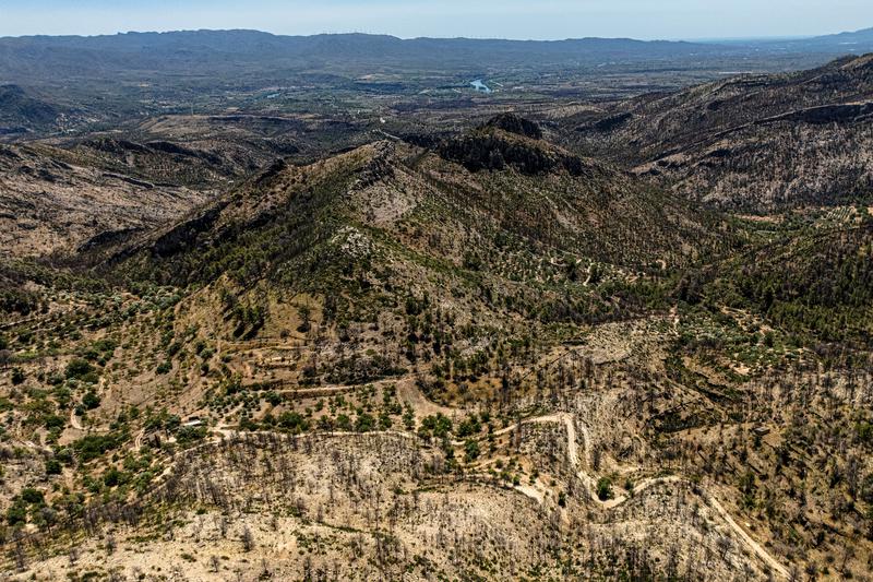 Part of the area between Xerta and Paüls that was burnt in the wildfire a year ago