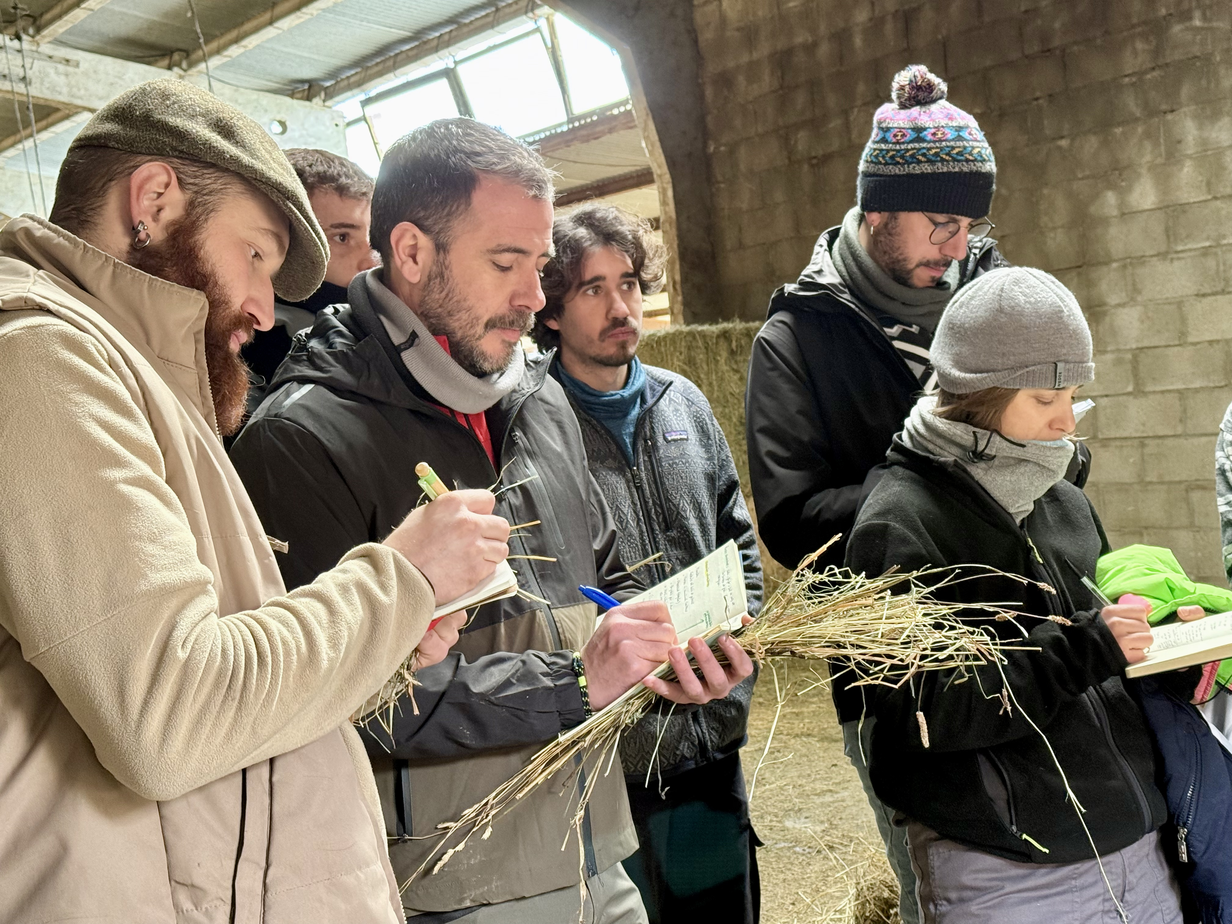 Shepherd School students on a practical class at a farm in Enviny