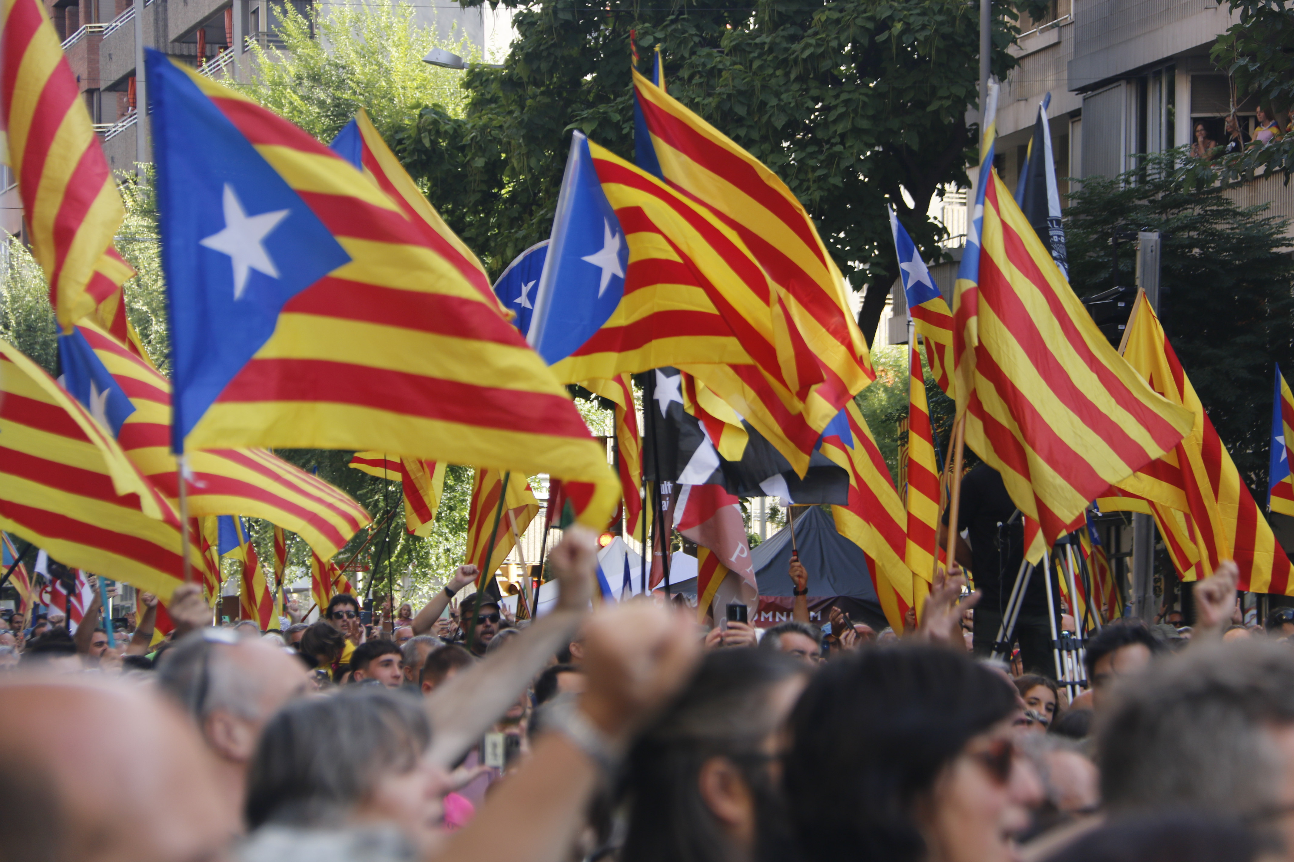 Various 'esteleda' flags in the pro-independence demonstration in Lleida, 2024