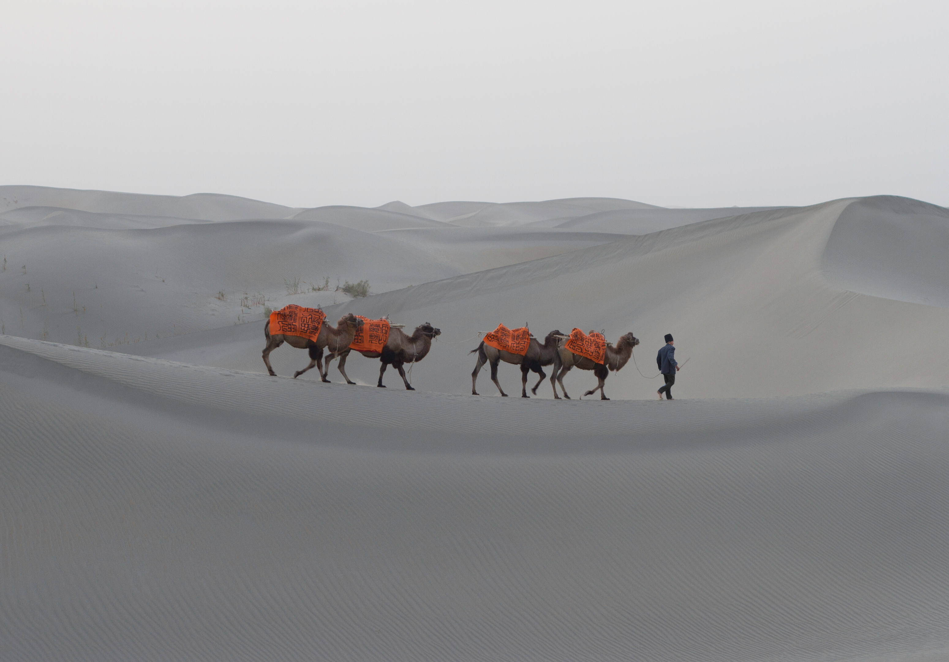 Phil Akashi's onsite art performance in the Taklamakan Desert