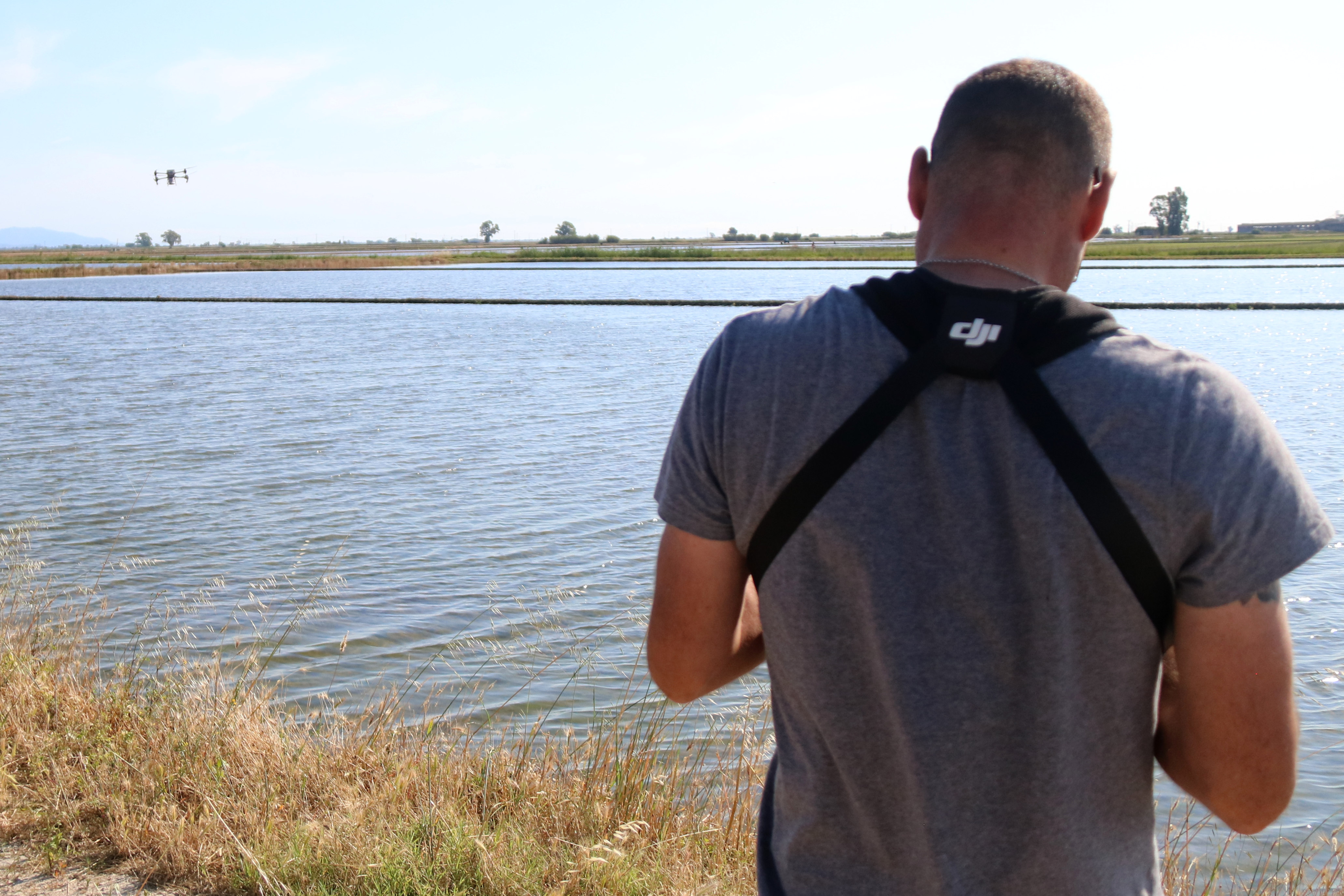 The operational director of Persual Drone, Alexis Ripoll, piloting a device above the rice field being planted in La Ràpita