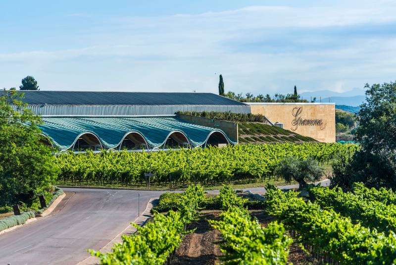 Gramona's vineyards south of Barcelona