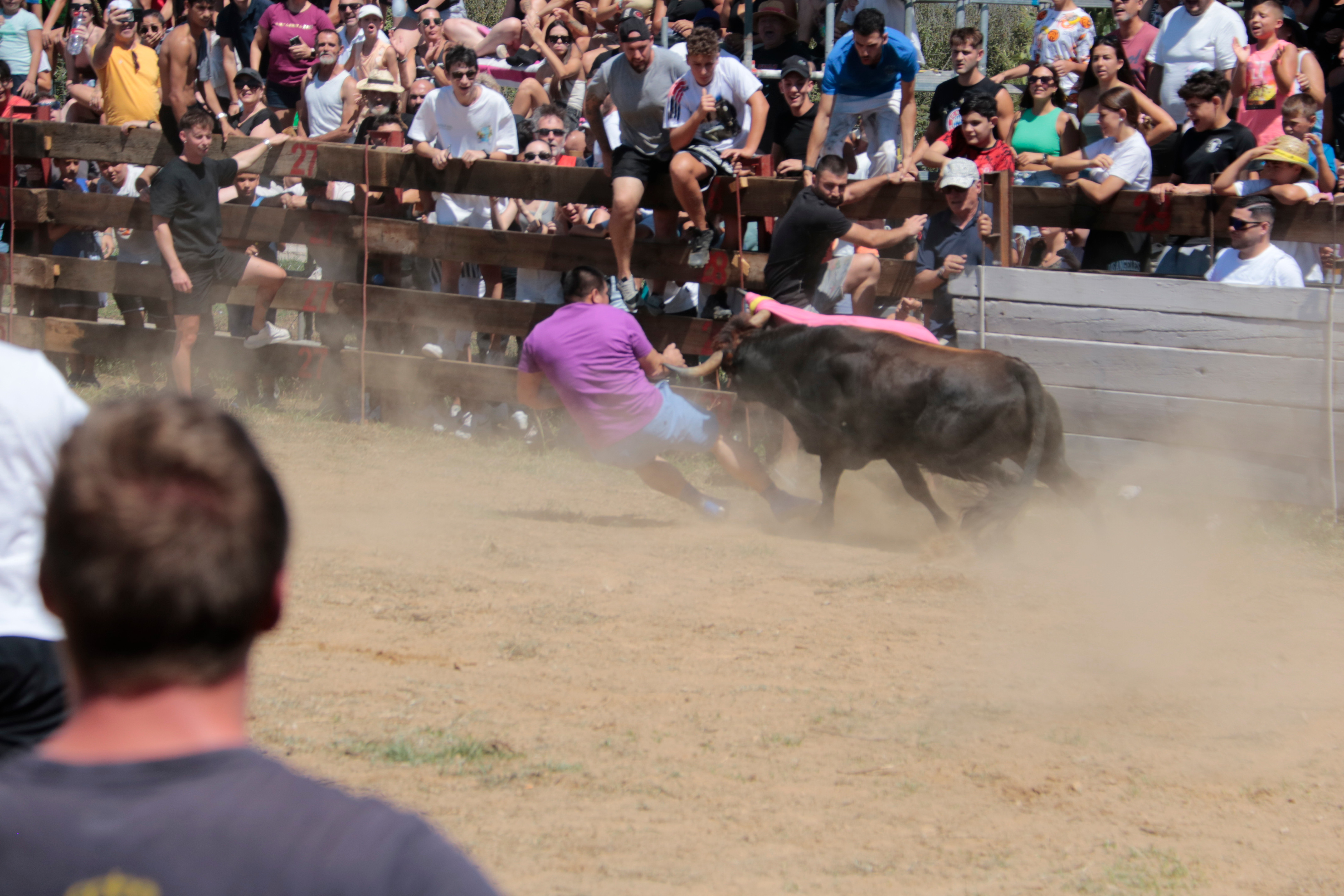 One man was butted by one of the animals but was not injured
