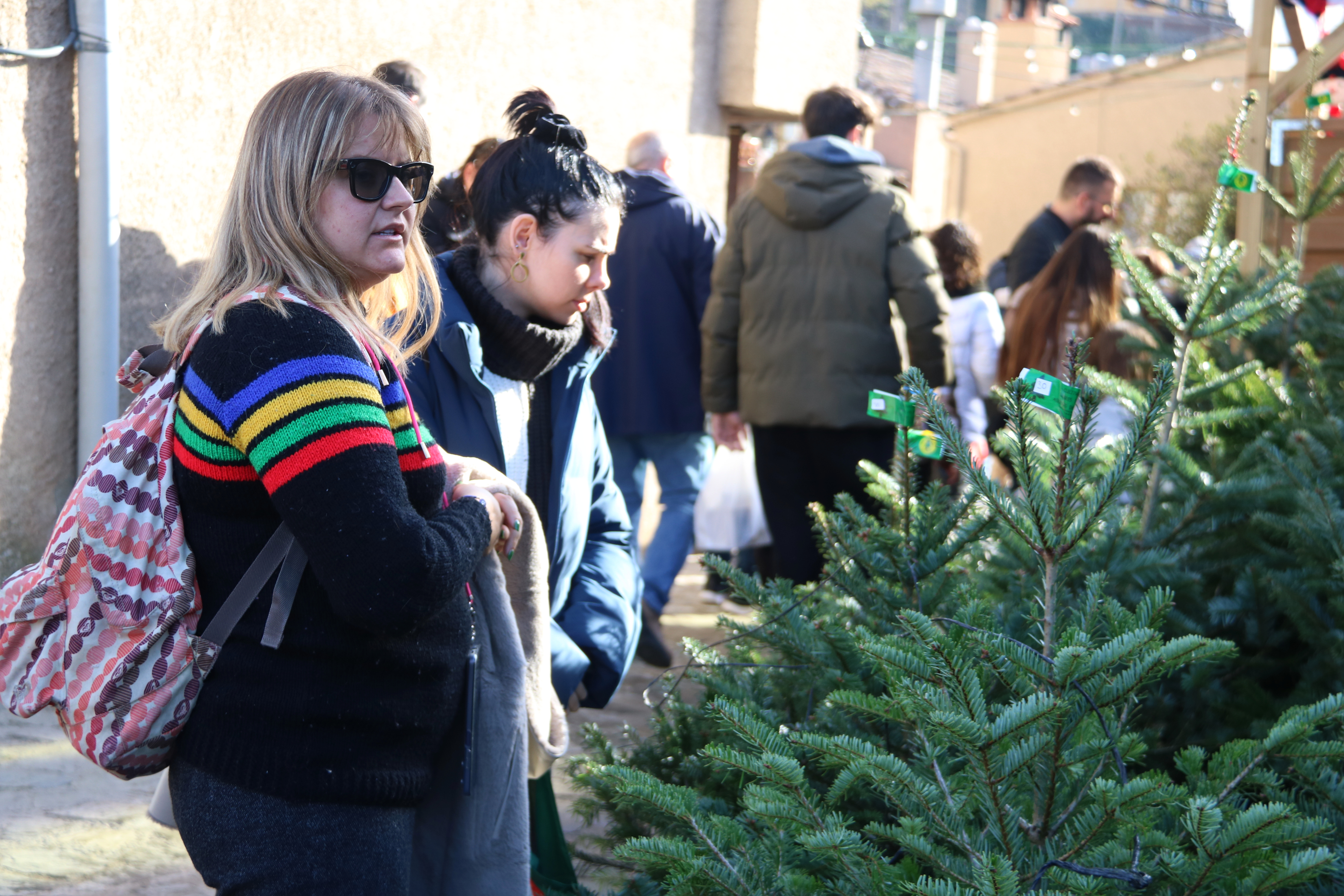 Visitors browse for Christmas trees at the Espinelves fair