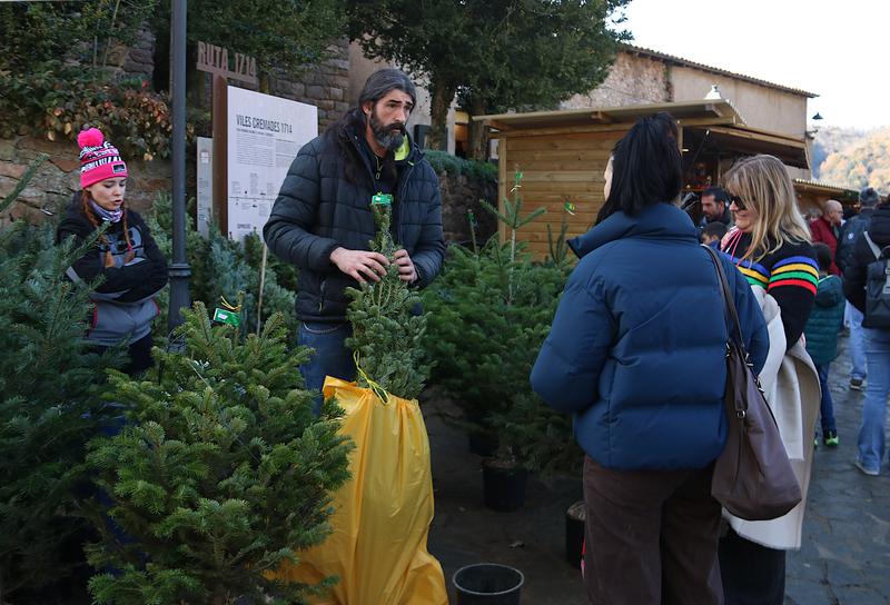Visitors browse for Christmas trees at the Espinelves fair