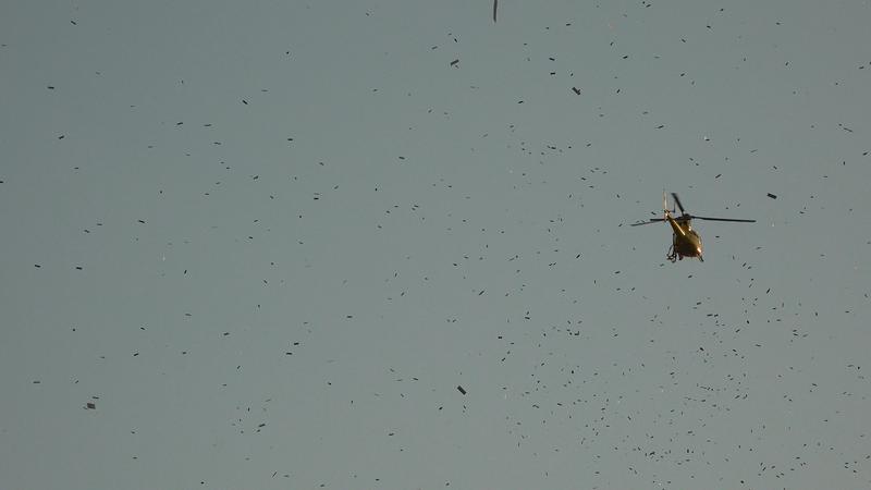 Bombardment of Poems on Madrid, at the Plaza Mayor on May 31, 2018