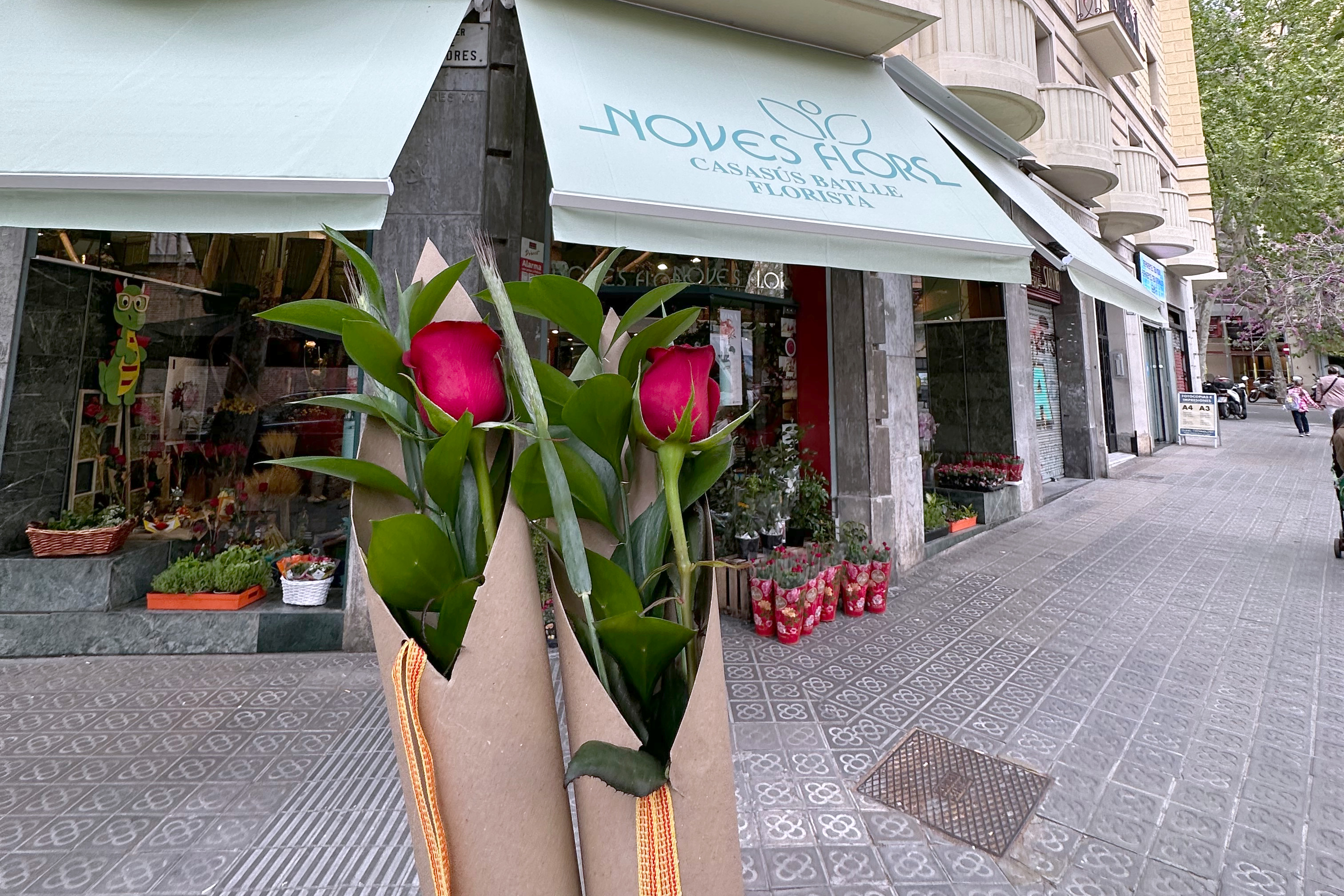 Two Sant Jordi roses in front of the Noves Flors flower shops in Barcelona