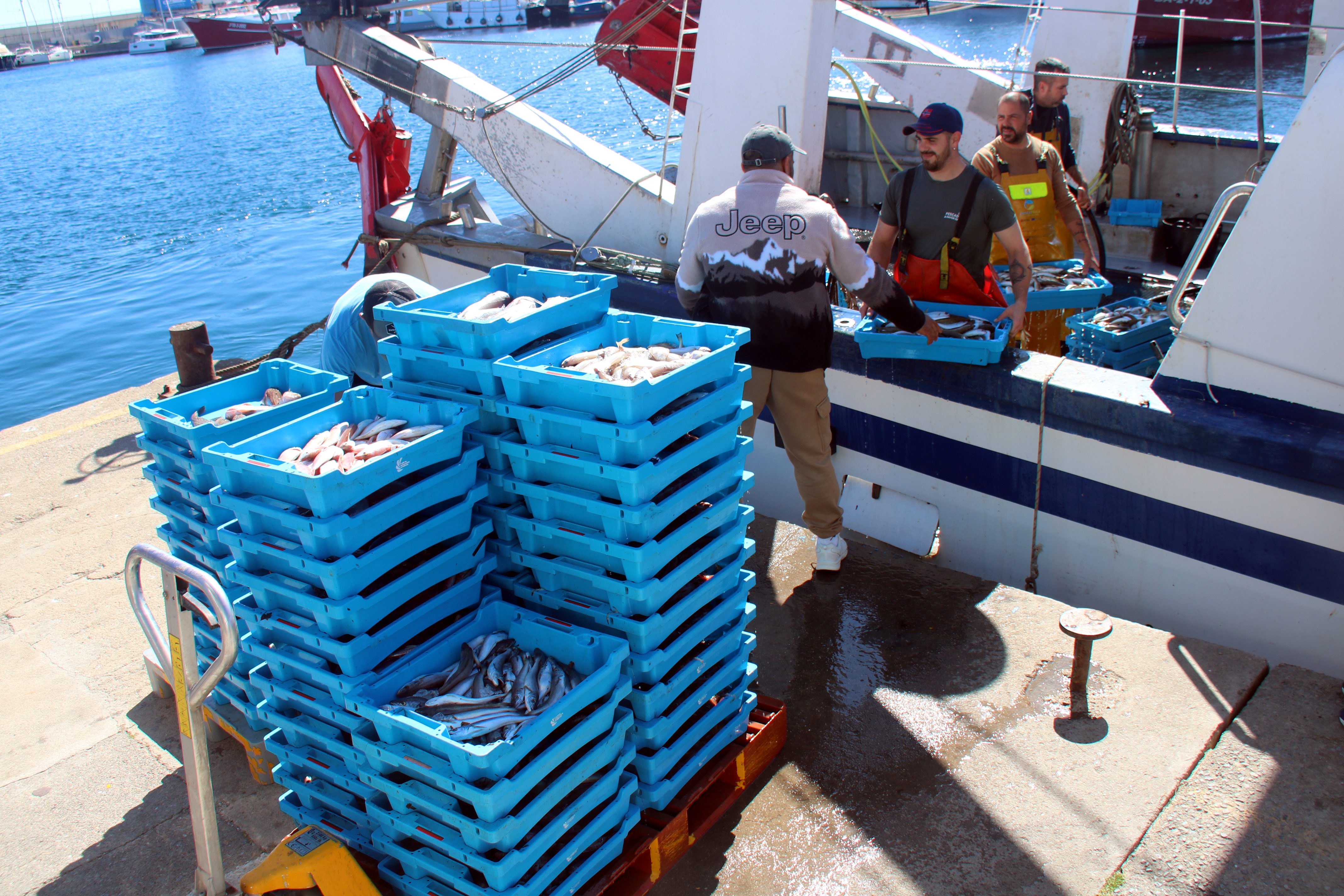 Boxes of fish at the port of Palamós; fishermen unloading the day's catch to bring it to the fish market