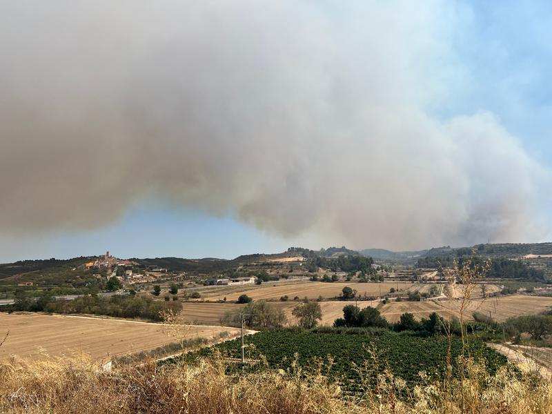 Forest fire in Ciutadilla, in the Lleida region