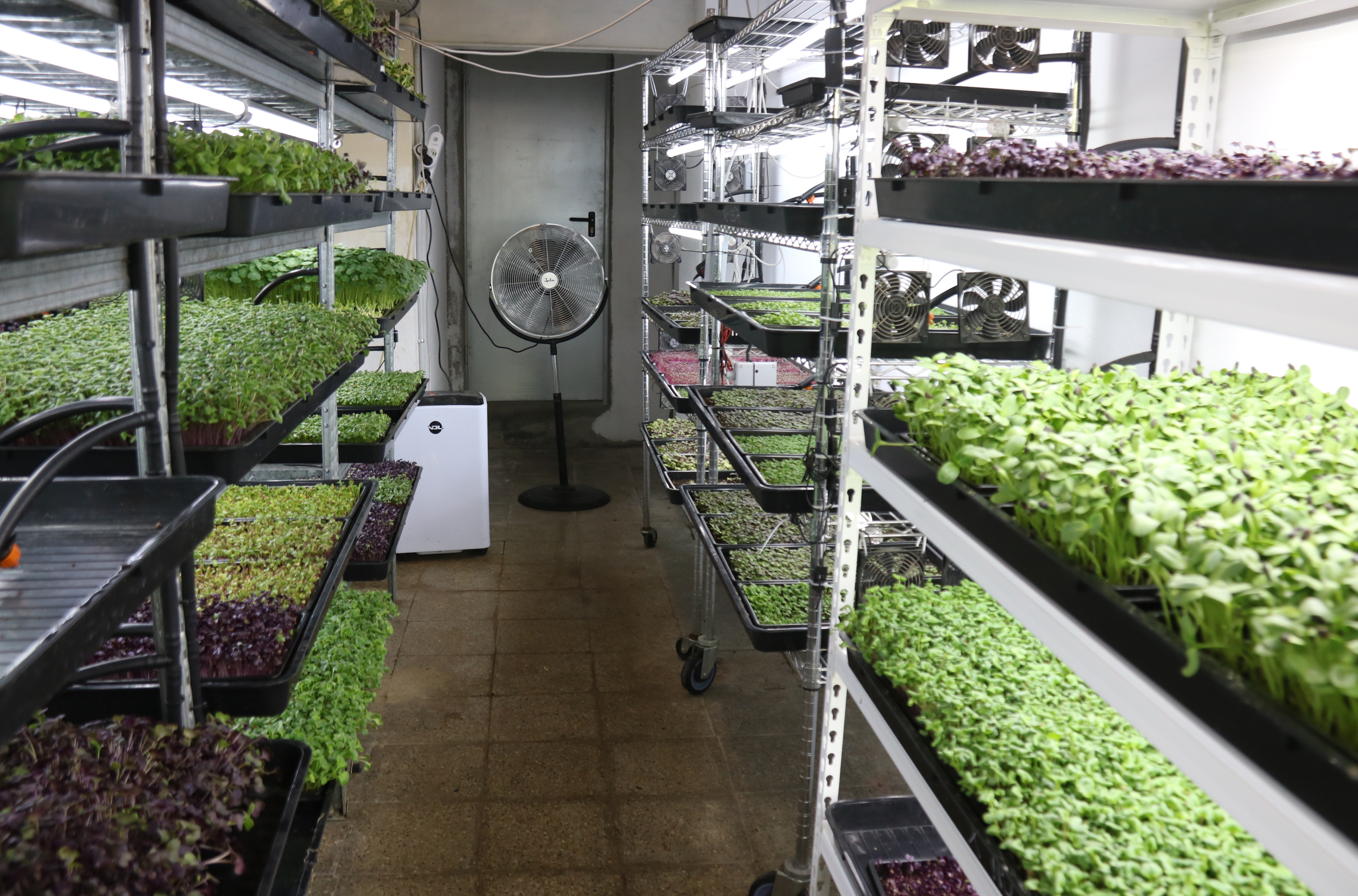 Un passadís amb safates de cultiu al local de Farmbrots a Barcelona.