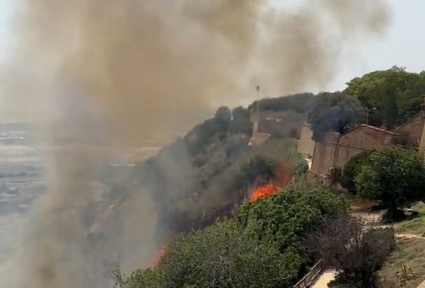 Wildfire in Montjuïc hill in Barcelona