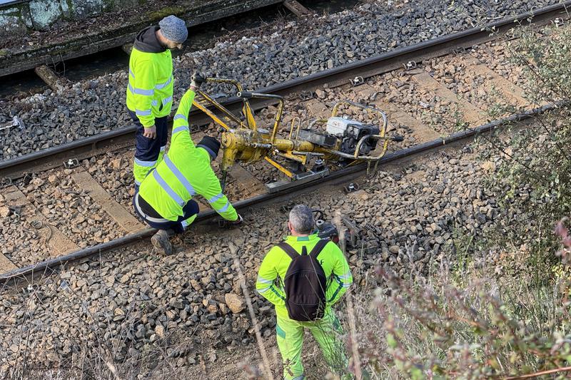 El president d'Adif veu el sistema ferroviari espanyol com "un dels més robustos" del món tot i l'inici d'any "molt dur"