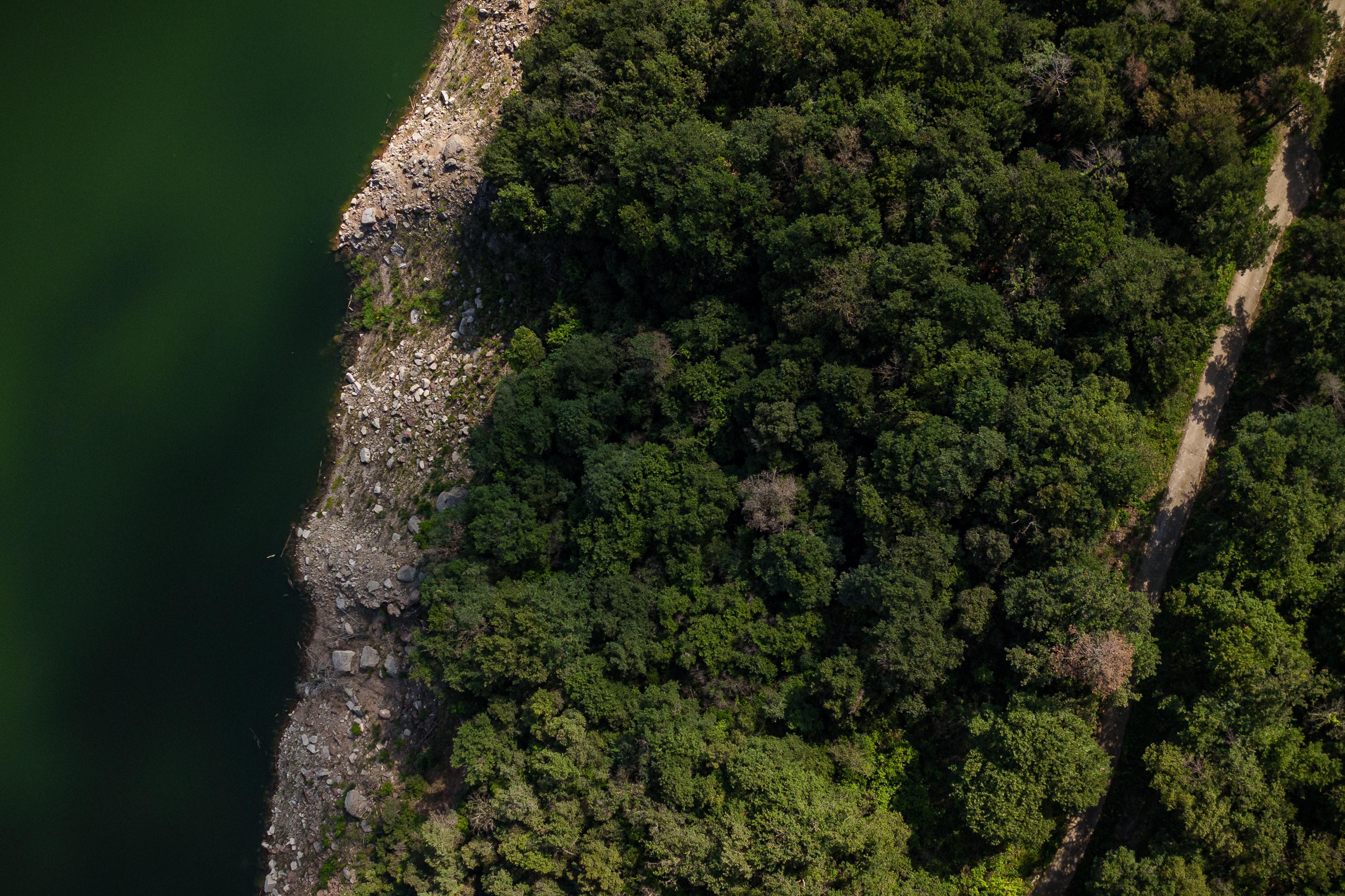 An image of the Pantà de Sau reservoir on June 22, 2024