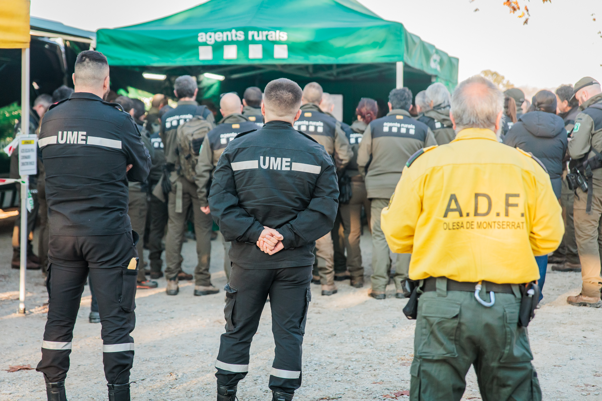 Members of the Spanish army’s UME unit taking part in the African swine fever response operation