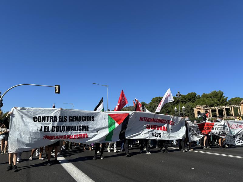 Demonstrators against the "genocide" in Palestine