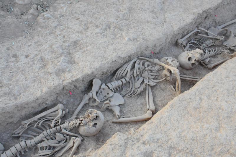 Remains of republican soldiers found in Bovera, western Catalonia