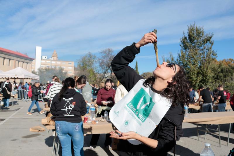 A girl properly eating a calçot in the annual mass calçot celebration in Valls