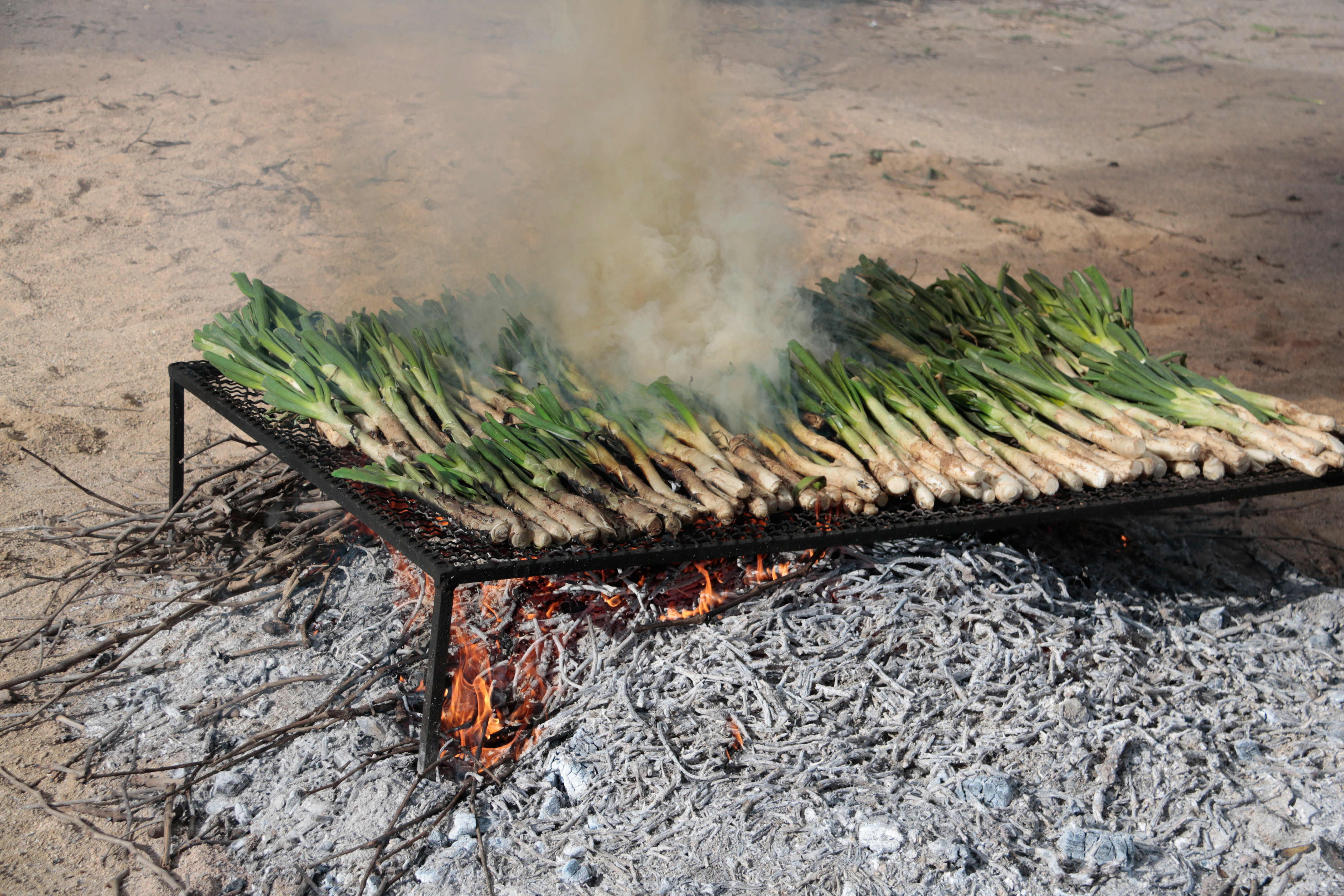 A grill full of calçots during the first Calçofest in Valls