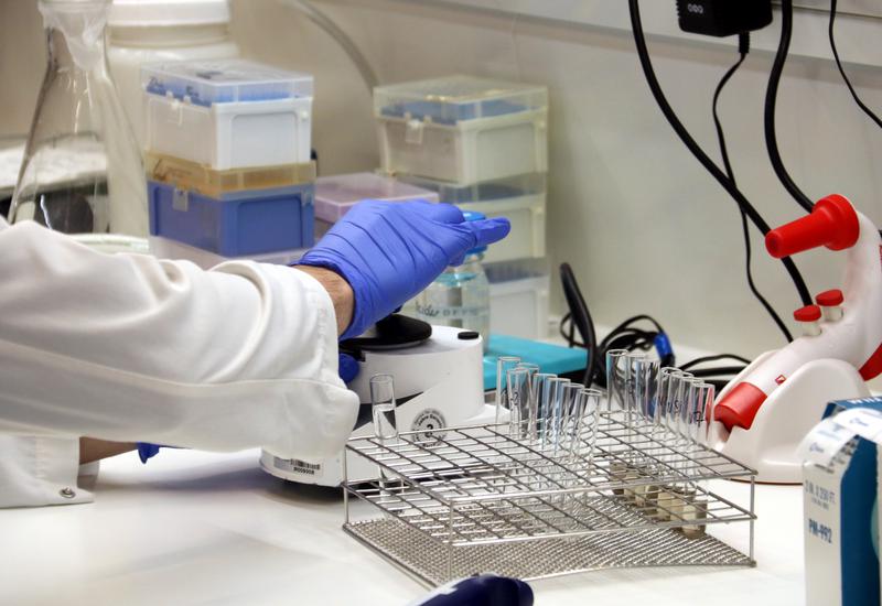 A researcher handles samples in a laboratory