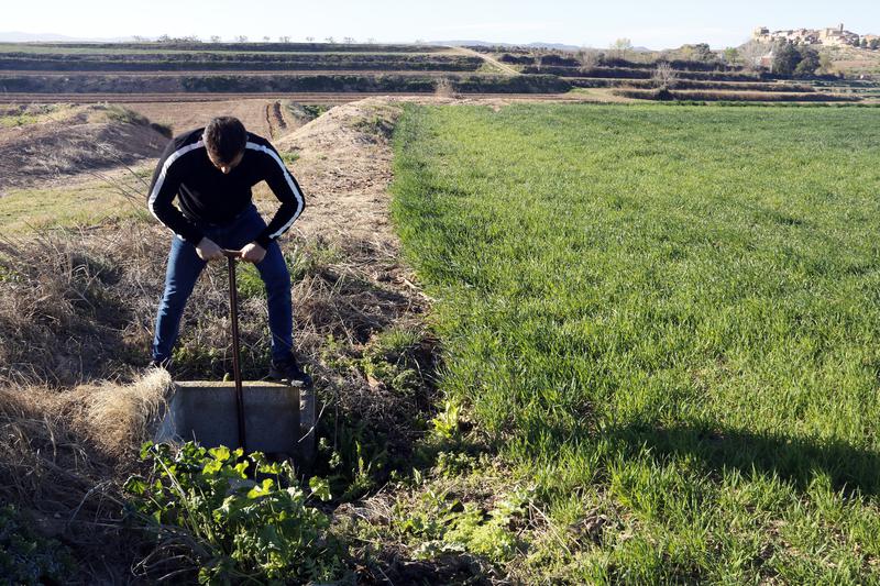 A worker of the Canal d'Urgell irrigation system opens the water supply on the first day of the watering campaign on March 27, 2023