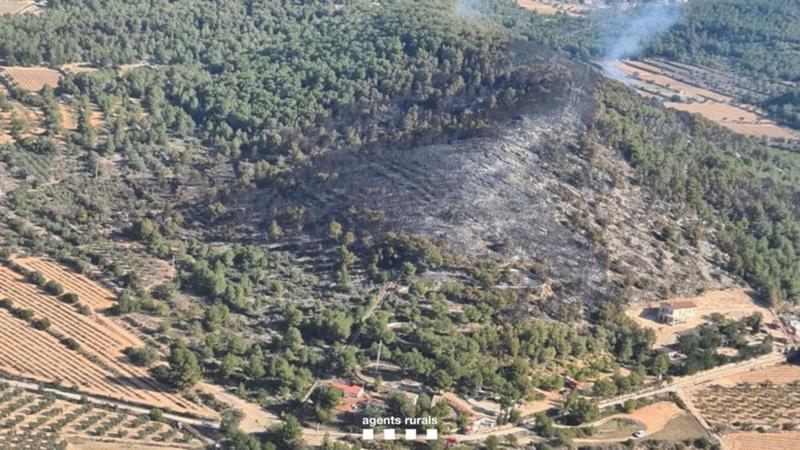 Wildfire in Calafell on March 15, 2023