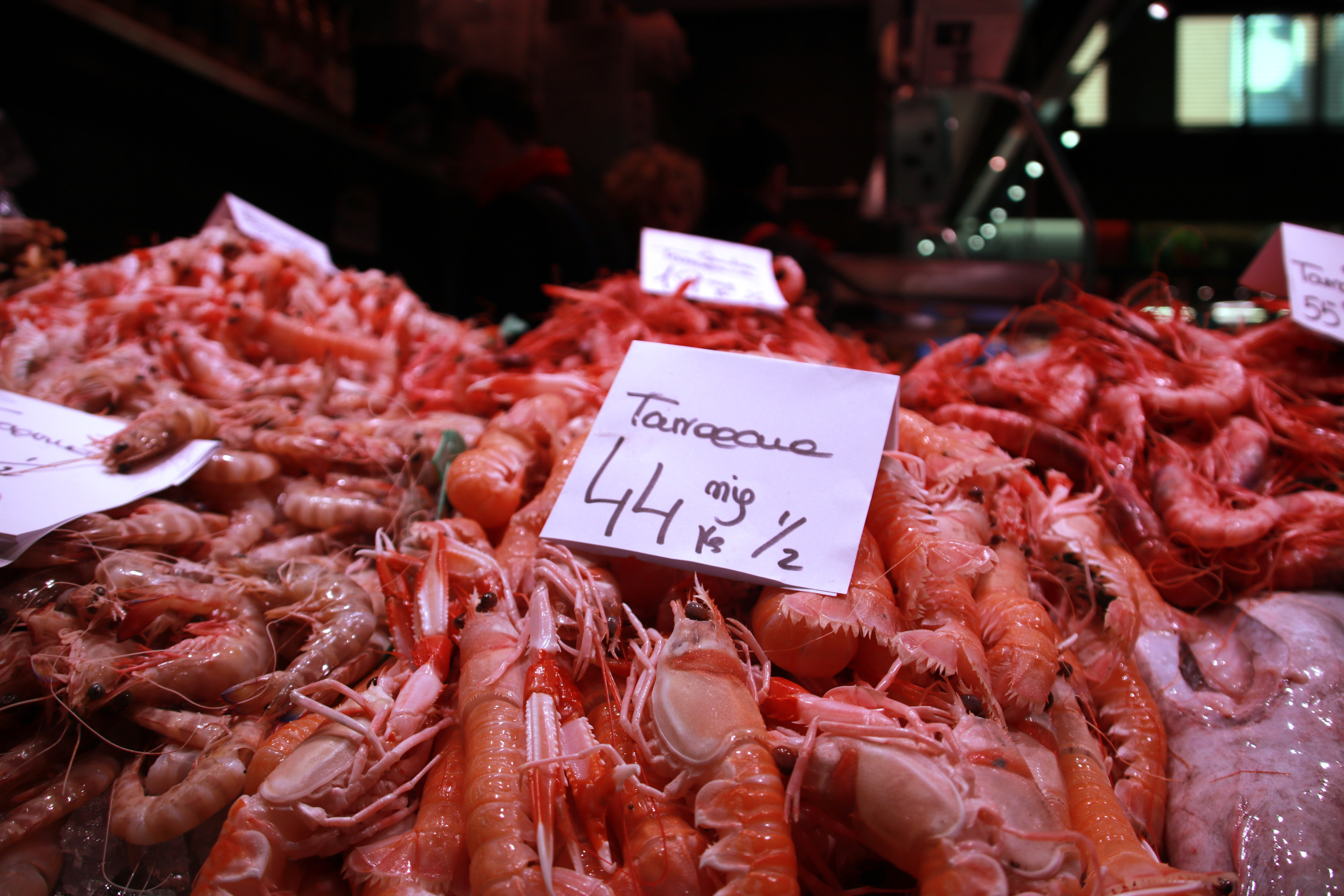 Prawns at Tarragona market ahead of Christmas