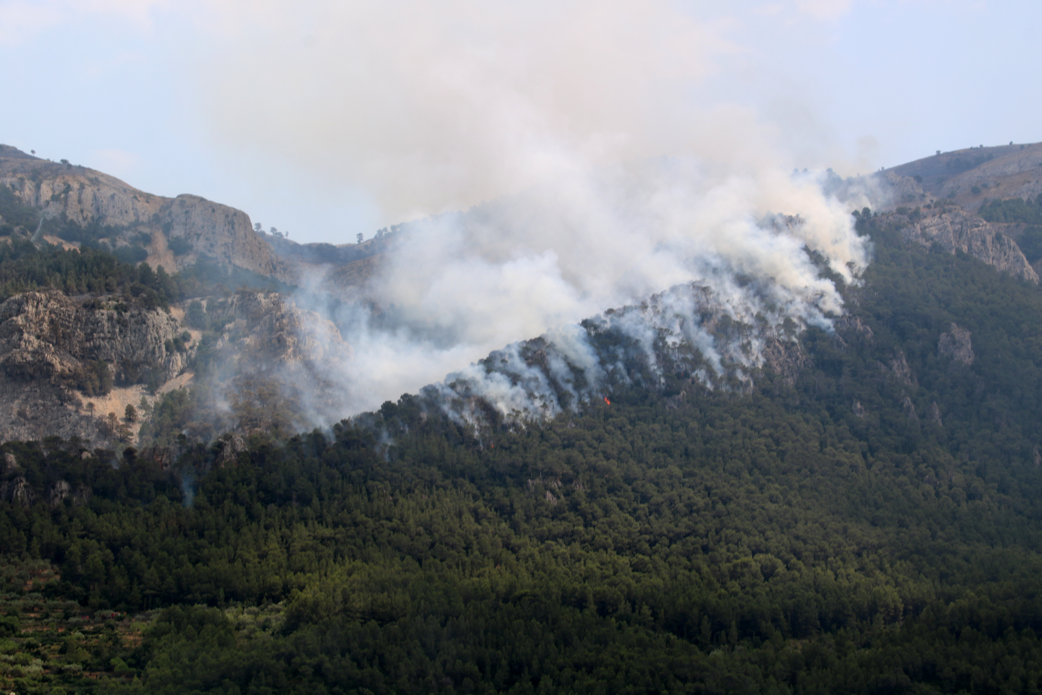 Foc a la serra de Paüls aquest dimarts a la tarda