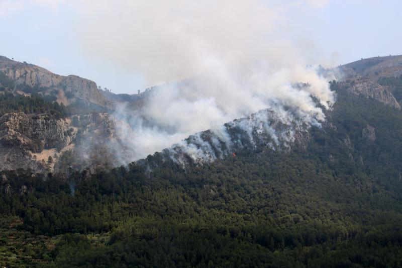 Propietaris forestals alerten que els parcs naturals són "molt vulnerables" als incendis per la manca de gestió 