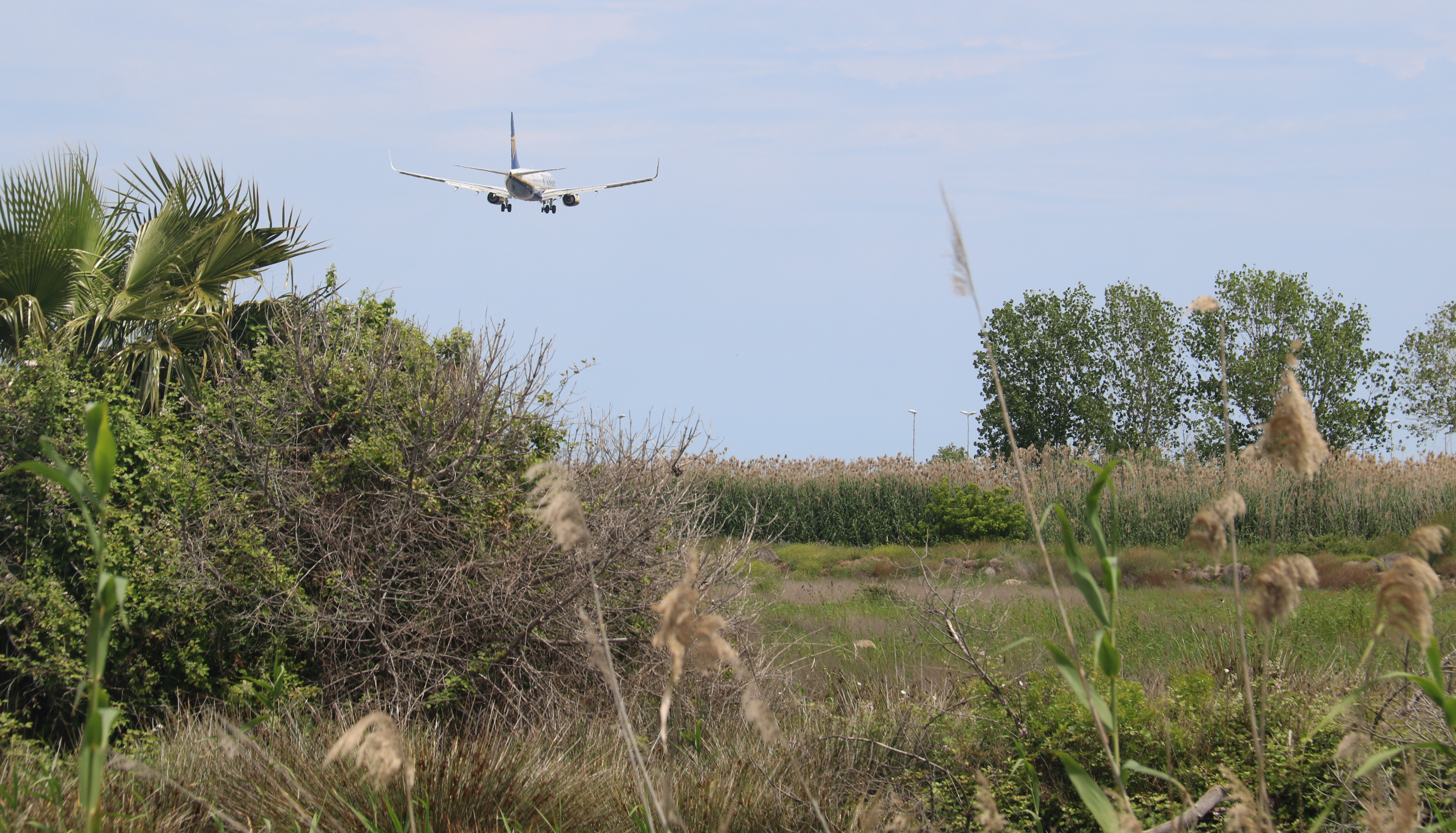 Plane landing at Barcelona airport